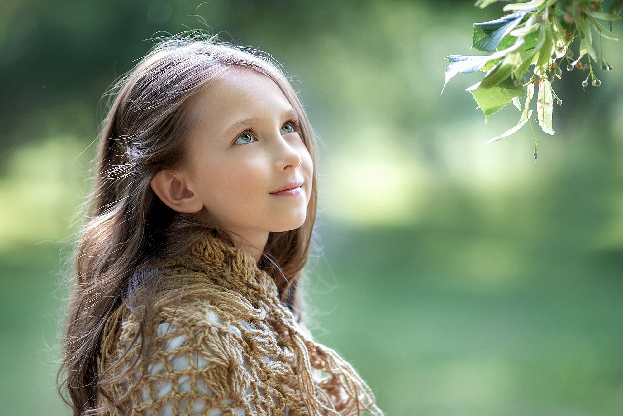 , Александр Солнечный