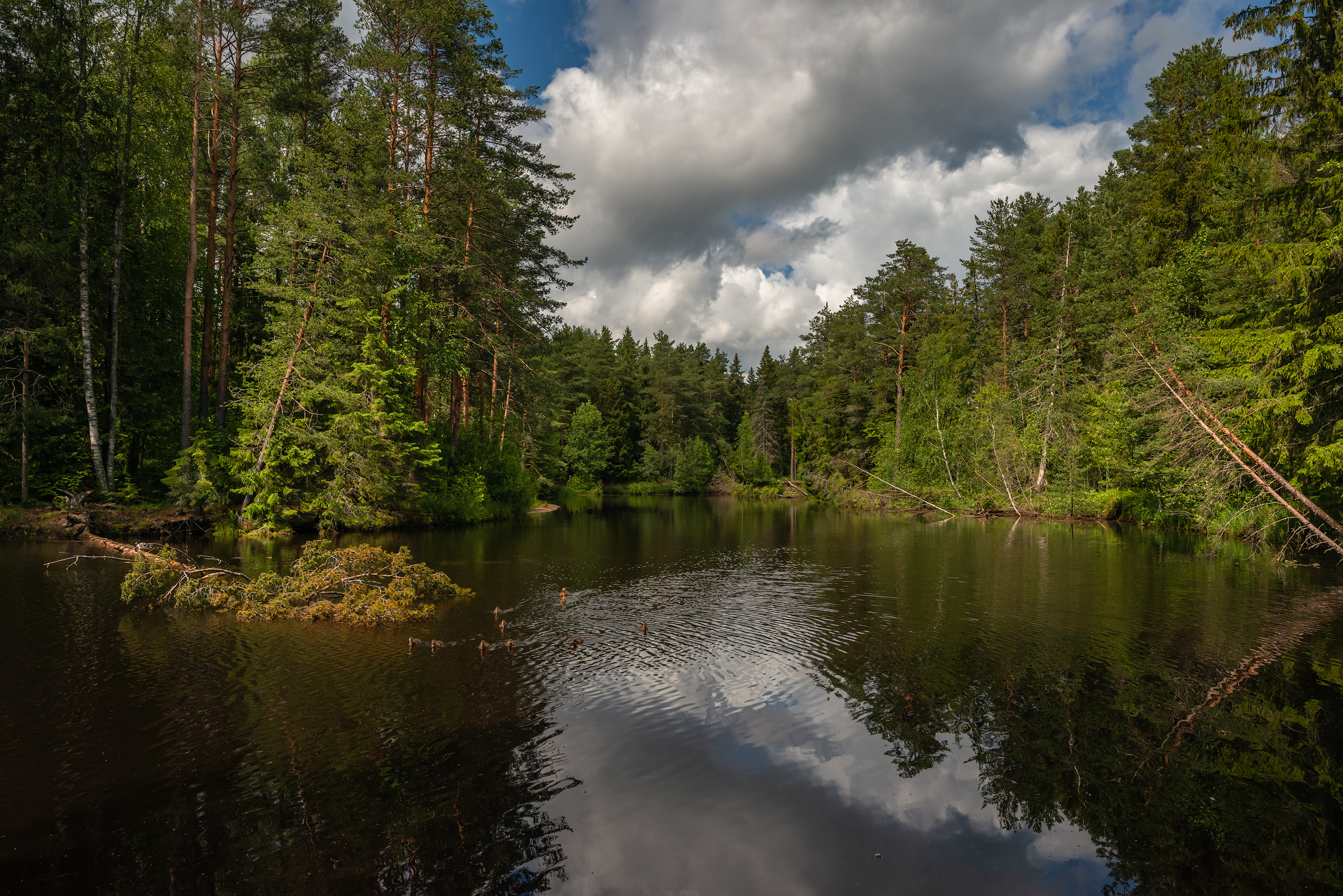 , Роман Горячий