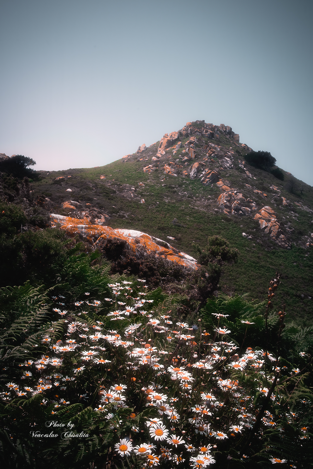 #пейзаж #пейзажнаяфотография #природа #фотодлядуши #фотолюбитель #фотографлюбитель #фотодня #атмосферно #горы #вдохновение, Veaceslav Chisalita