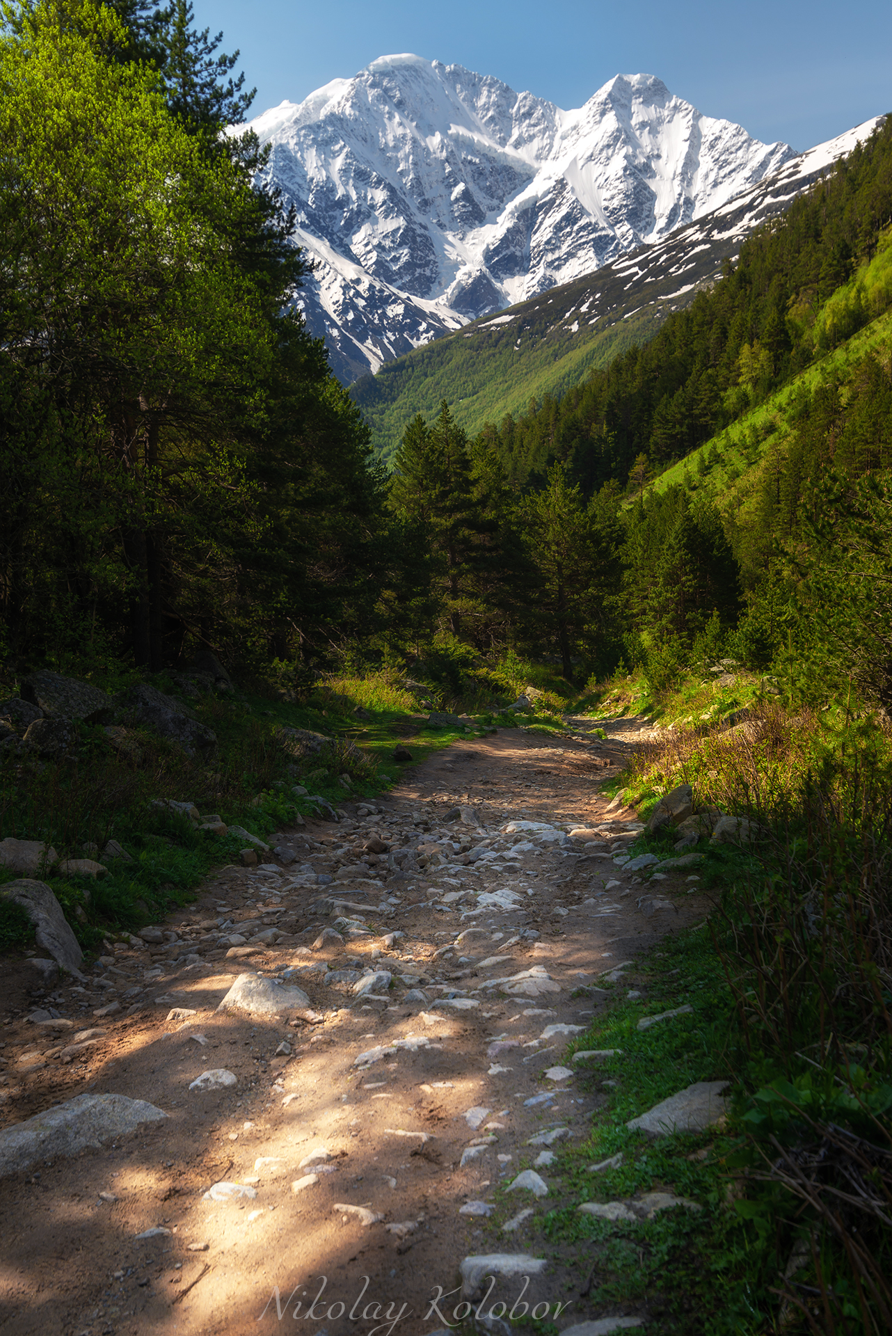 , Колобов Николай