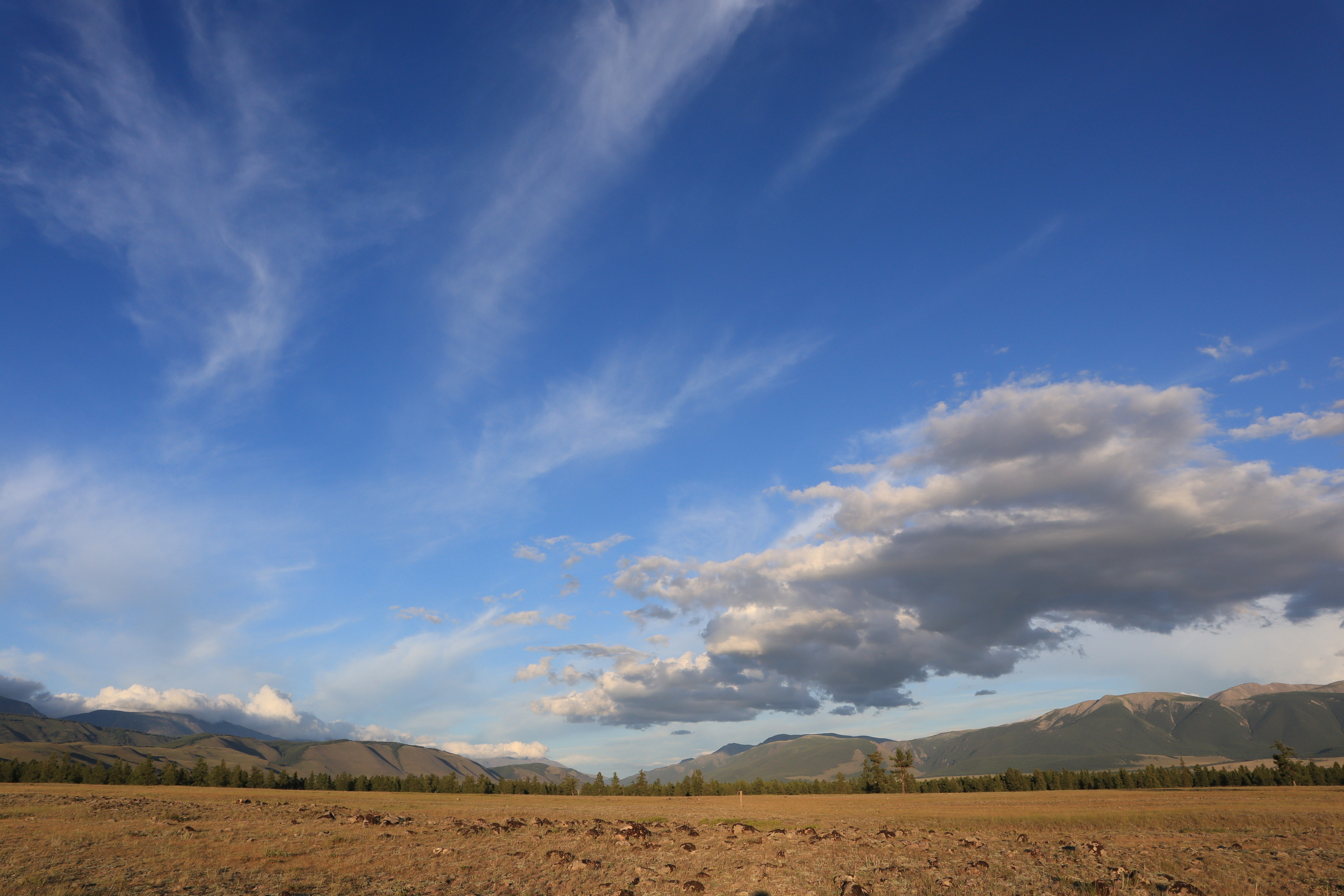 природа,лето,небо,облака,курайская степь, Козлова Галина