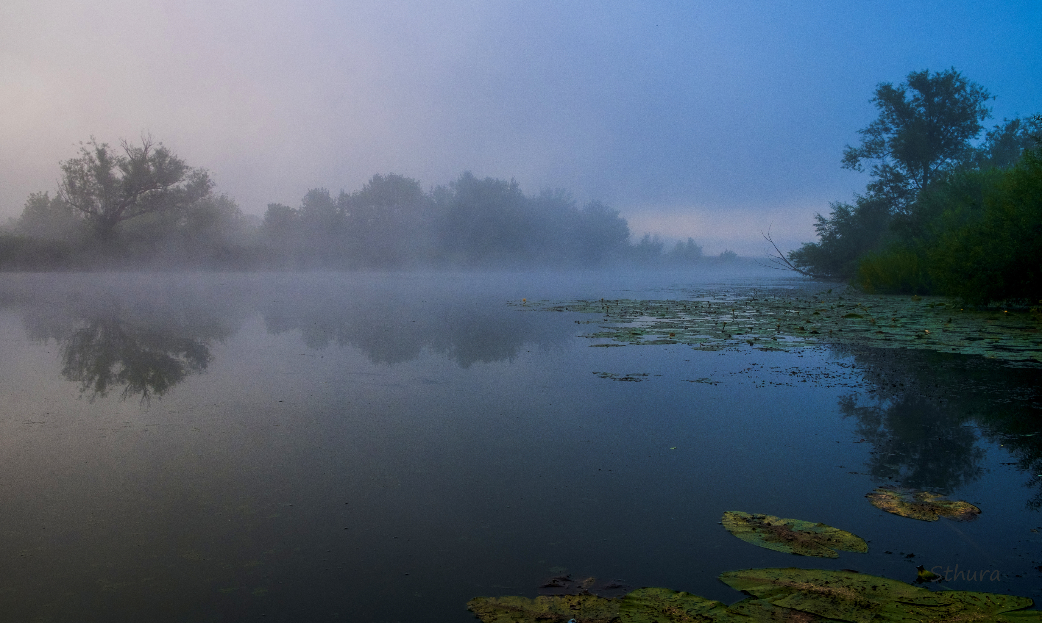 лето утро озеро туман природа пейзаж, Александр Строков
