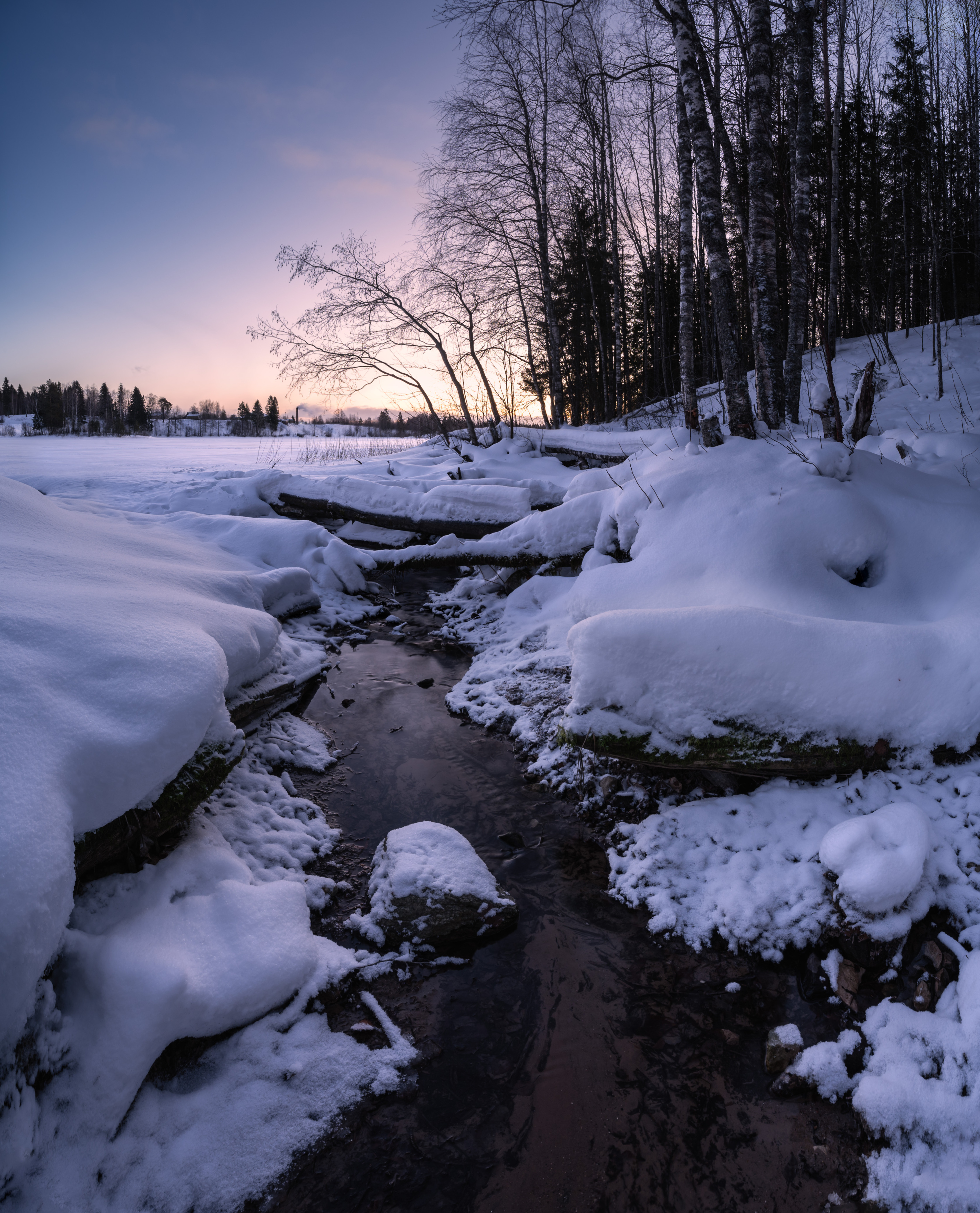 , Алексей Турчин