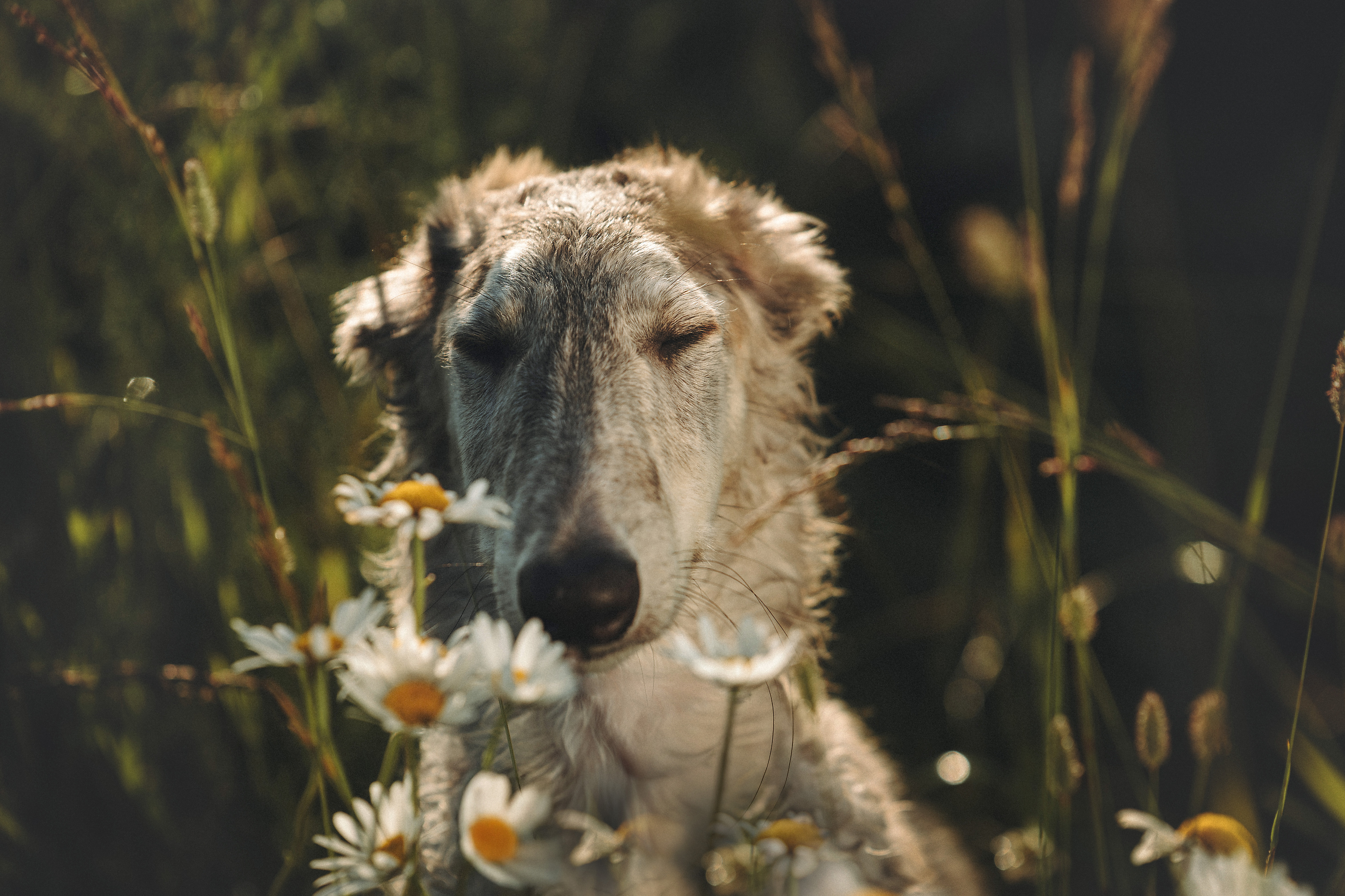 , Мороз Ирина