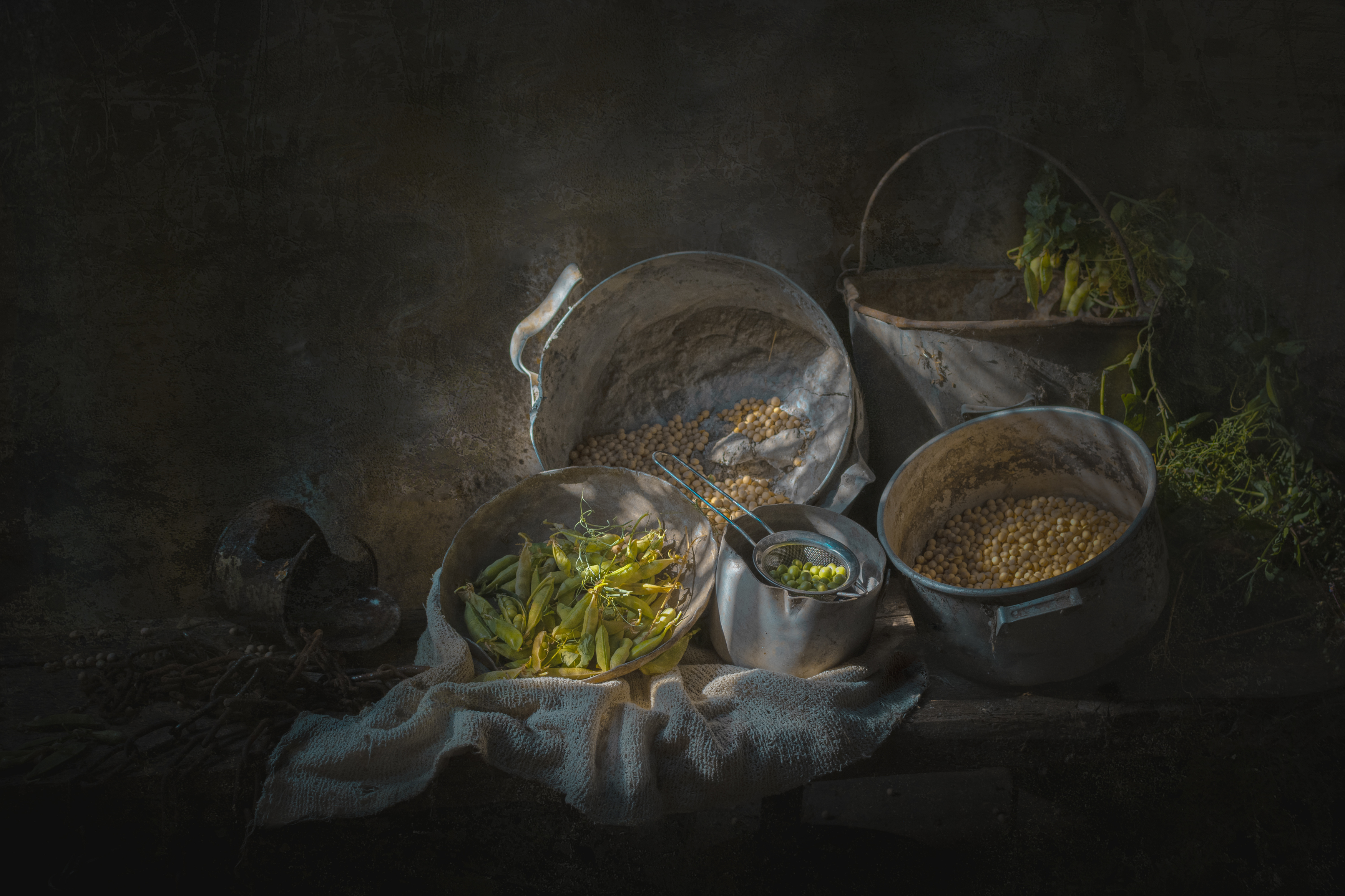 , Багриновская Наталия