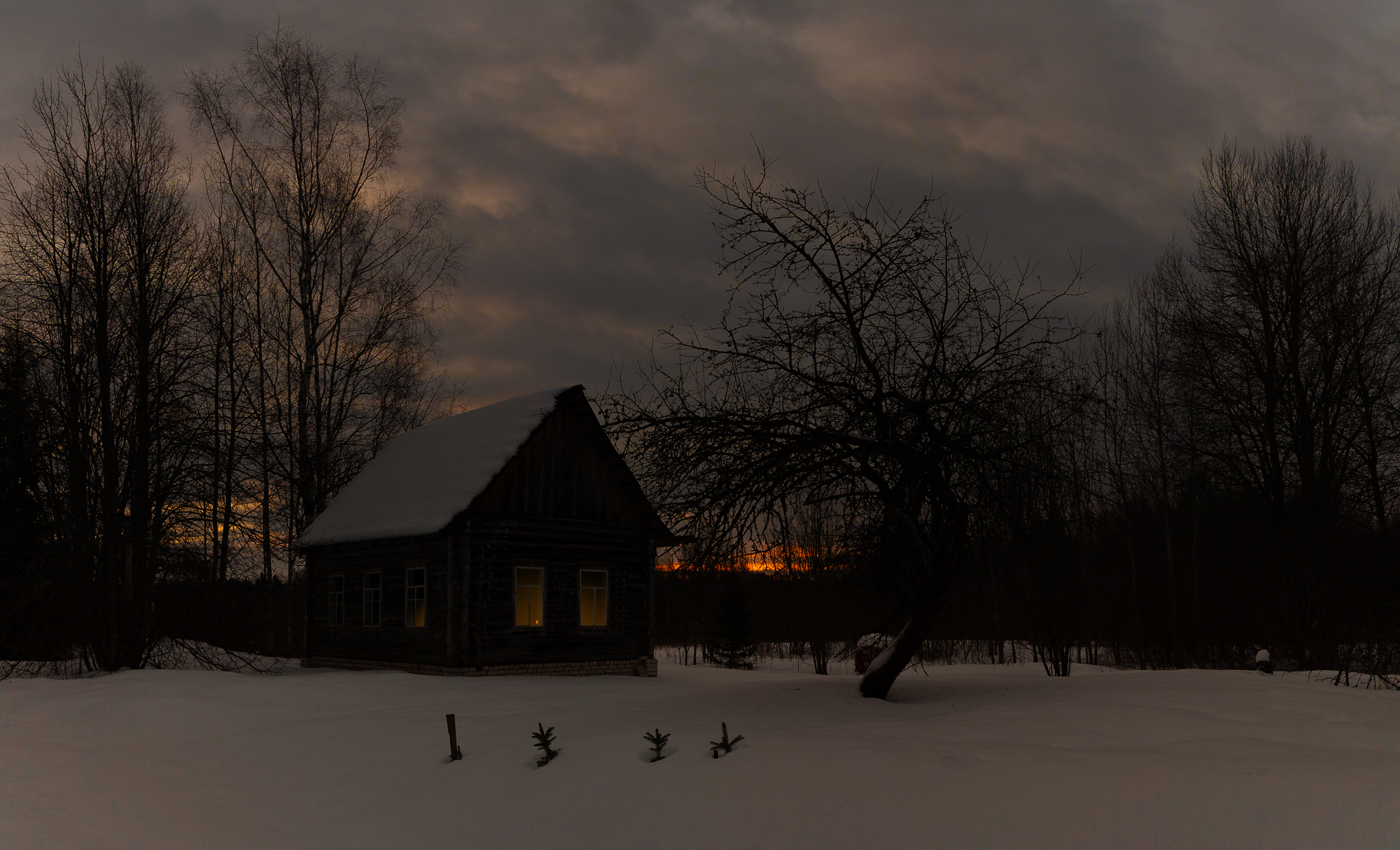 белоруссия, красный бор, избушка, Потапов Сергей