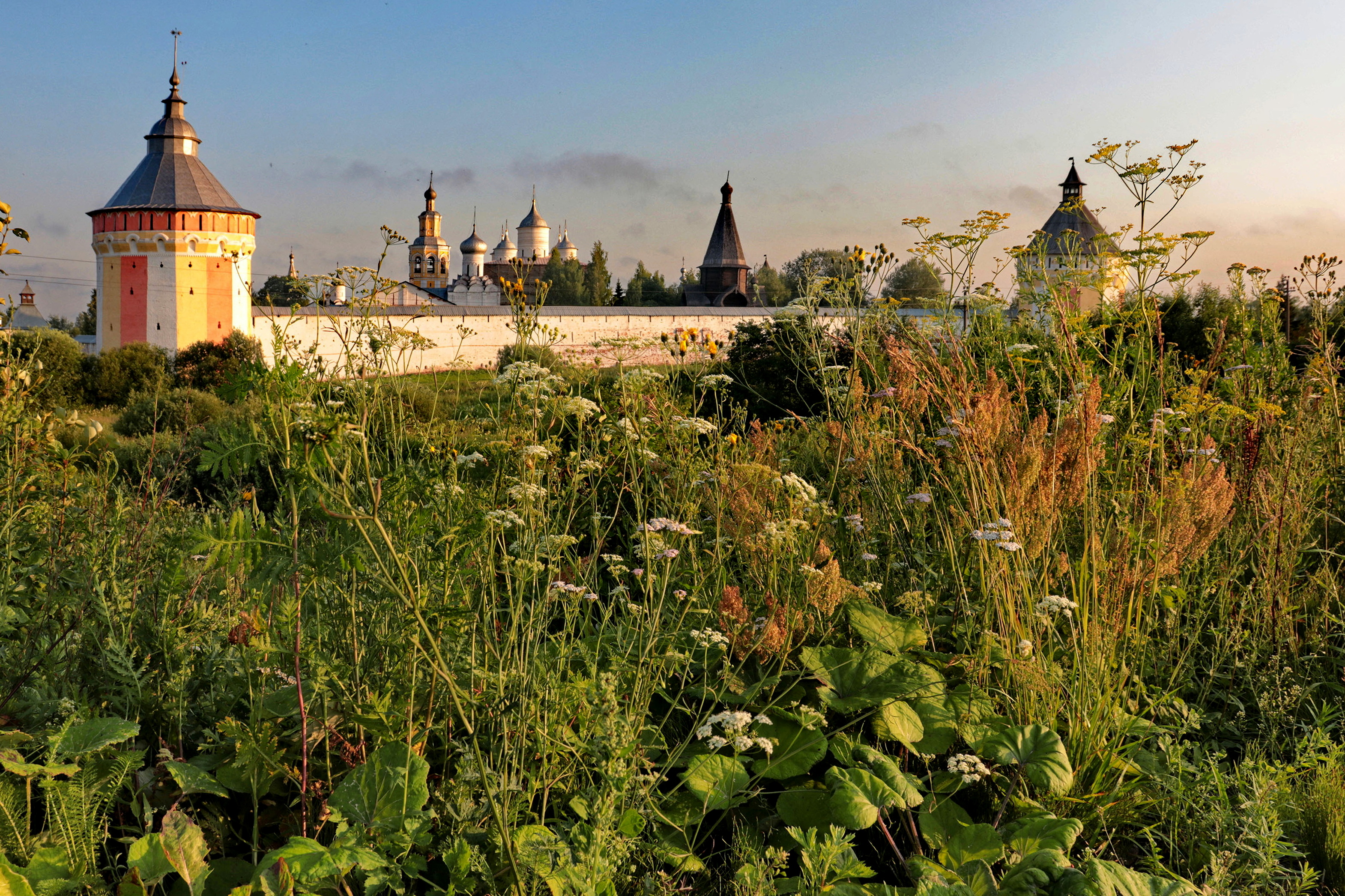 вологда, Добролюбова Тамара