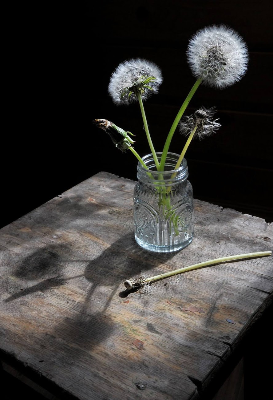 , Ирина Данилова