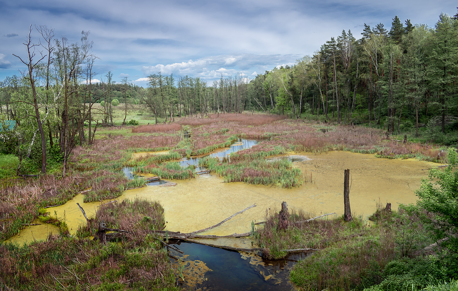, Виктор Климкин