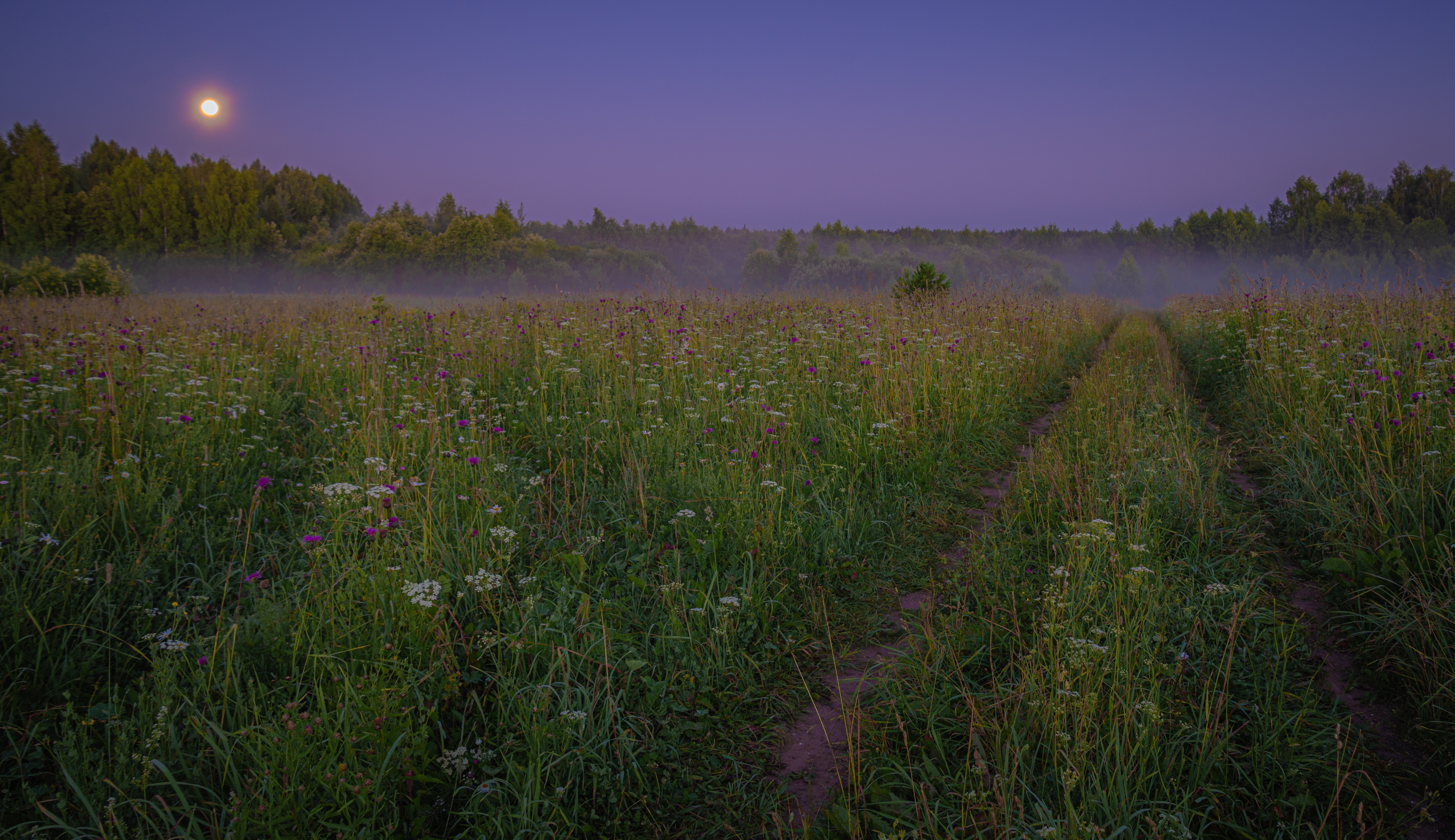 , Кокорин Алексей