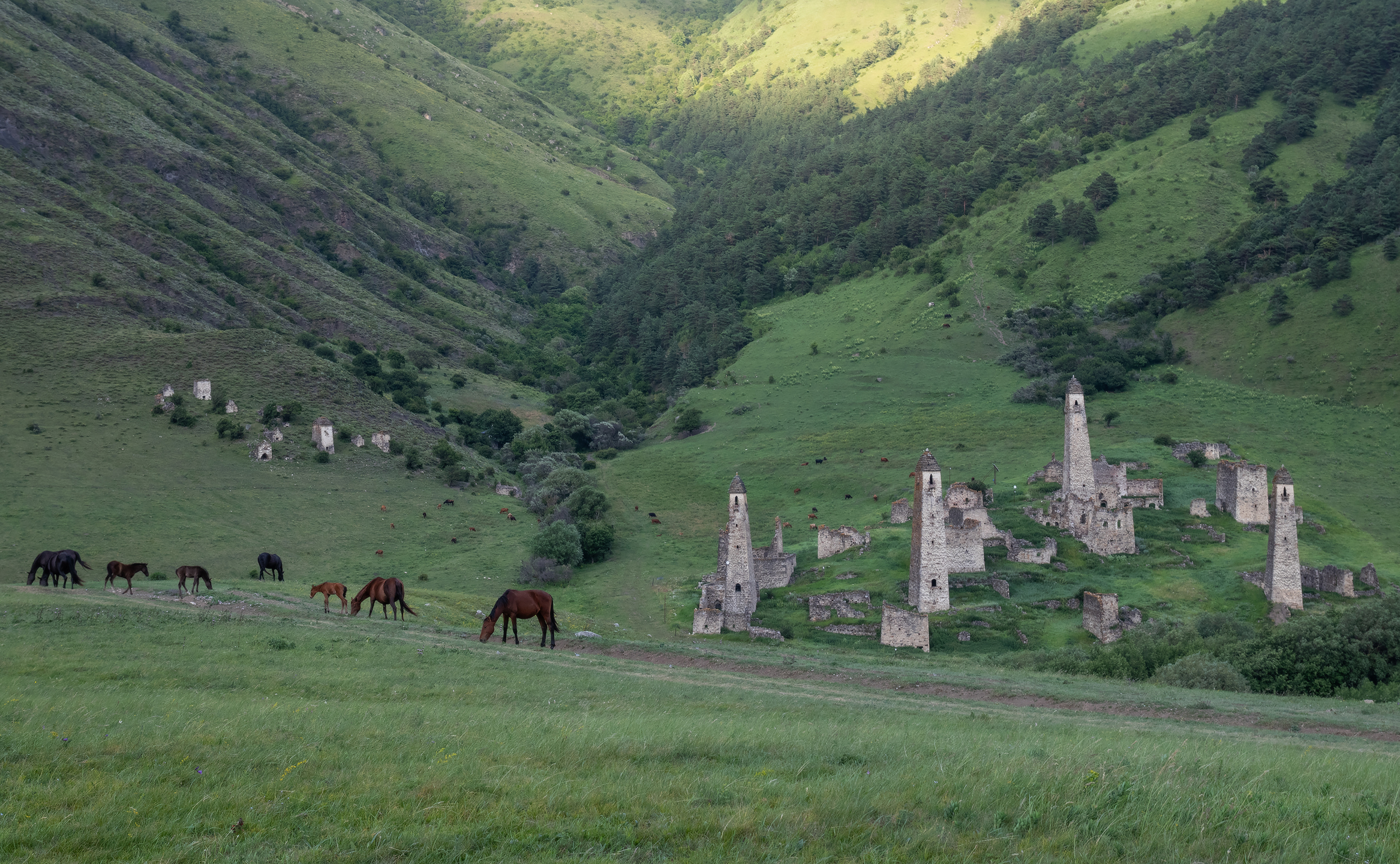 , Михаил Гапонов
