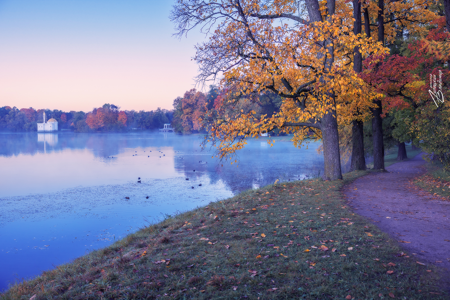 санкт-петербург, екатерининский парк, осень, утро, Липецких Владимир