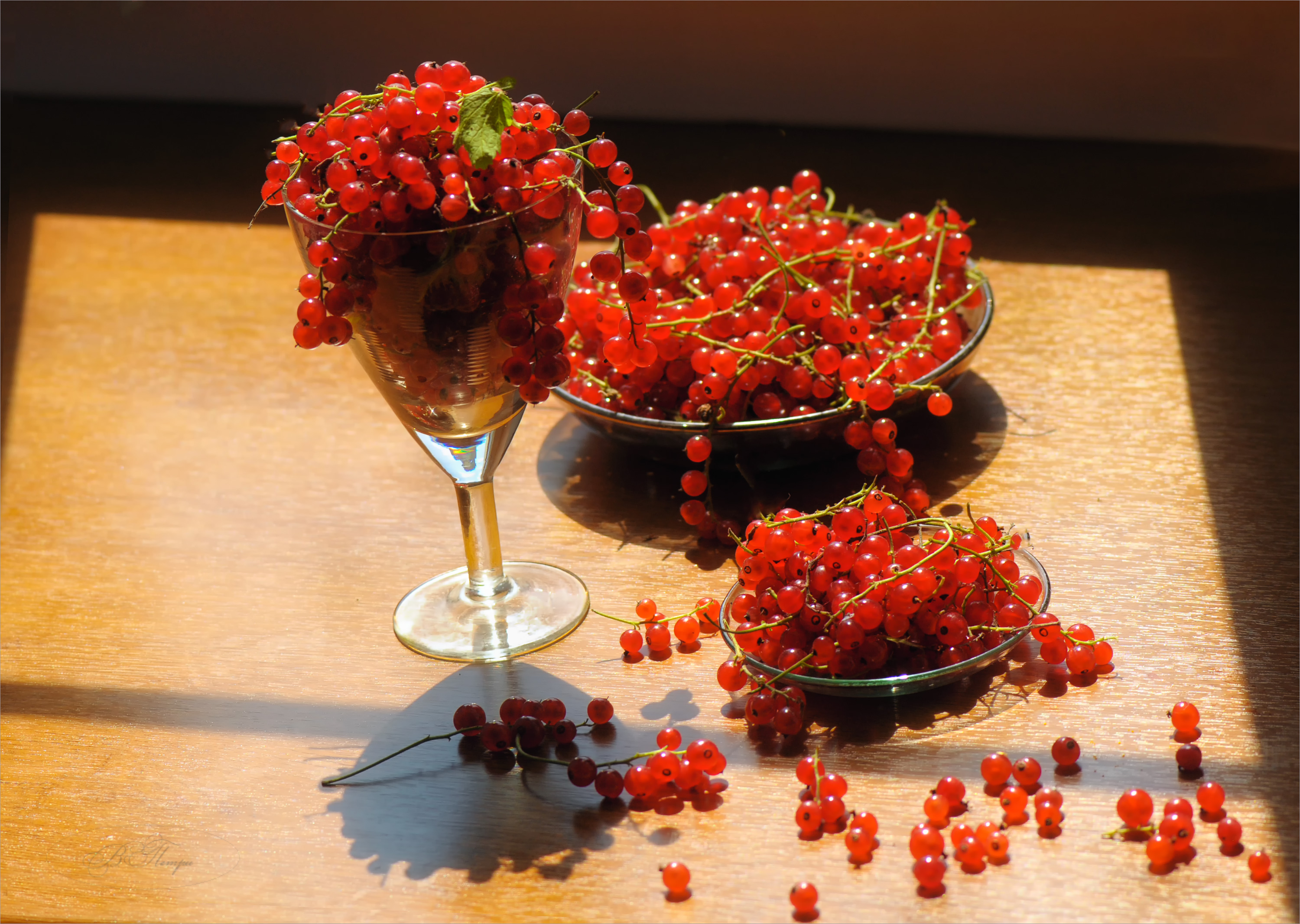 красная смородина, Вера Петри