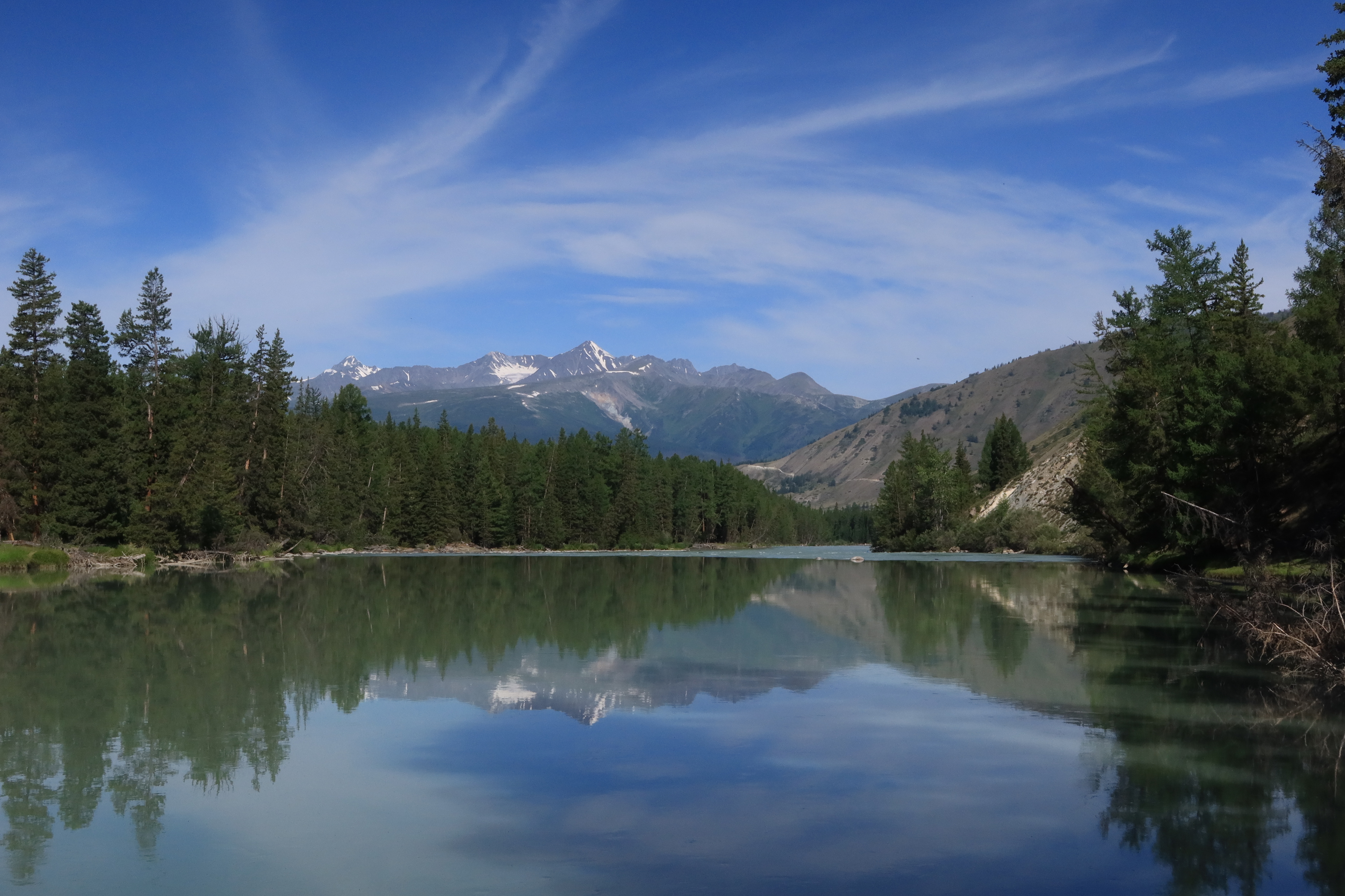 алтай,река аргут,катунский хребет,деревья,отражение,лето, Козлова Галина