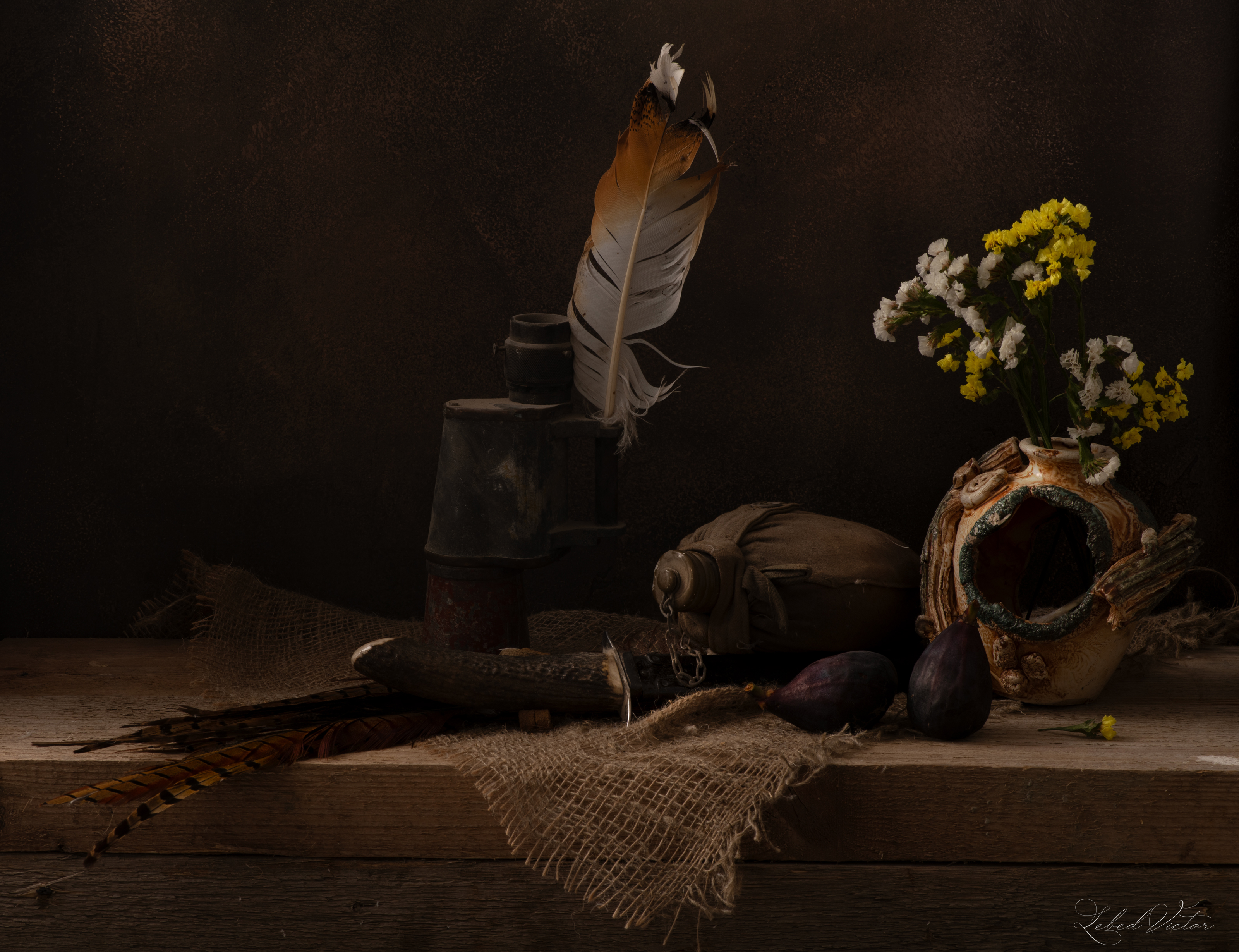 , Виктор Лебедь