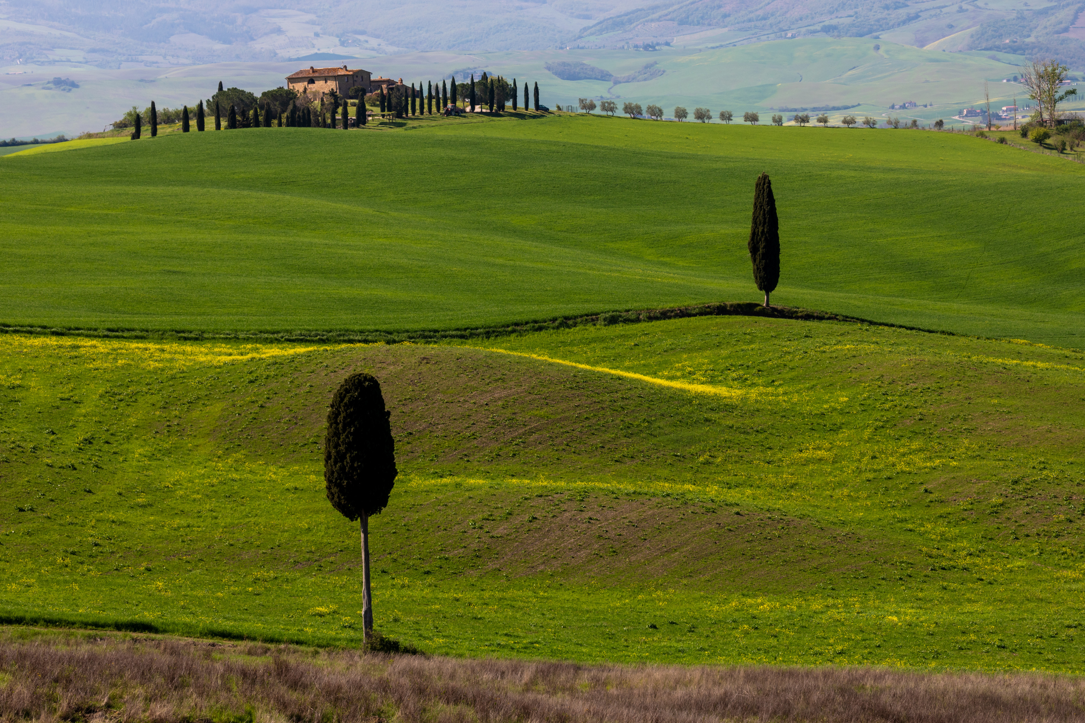 , Евгения Чех