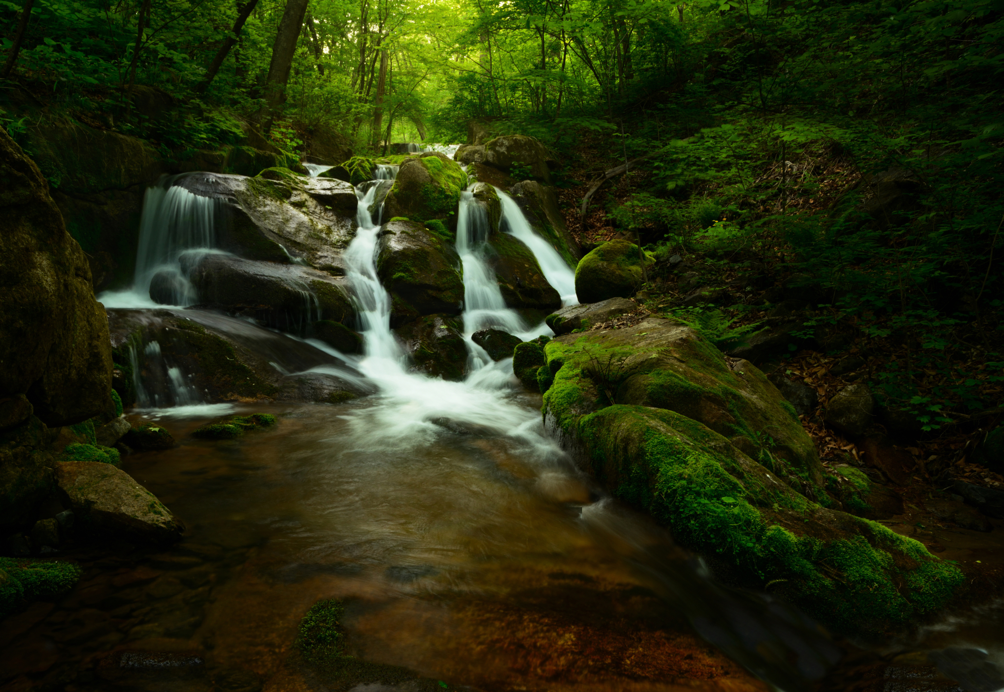 приморье, Едуш Сергей