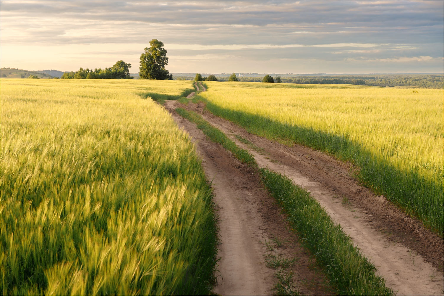 , Анатолий Гулин
