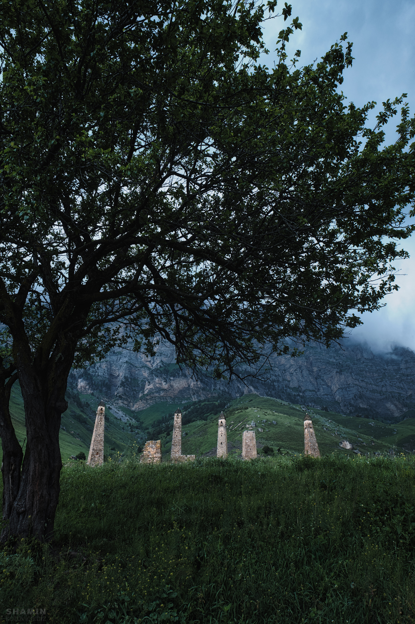 , Константин Шамин