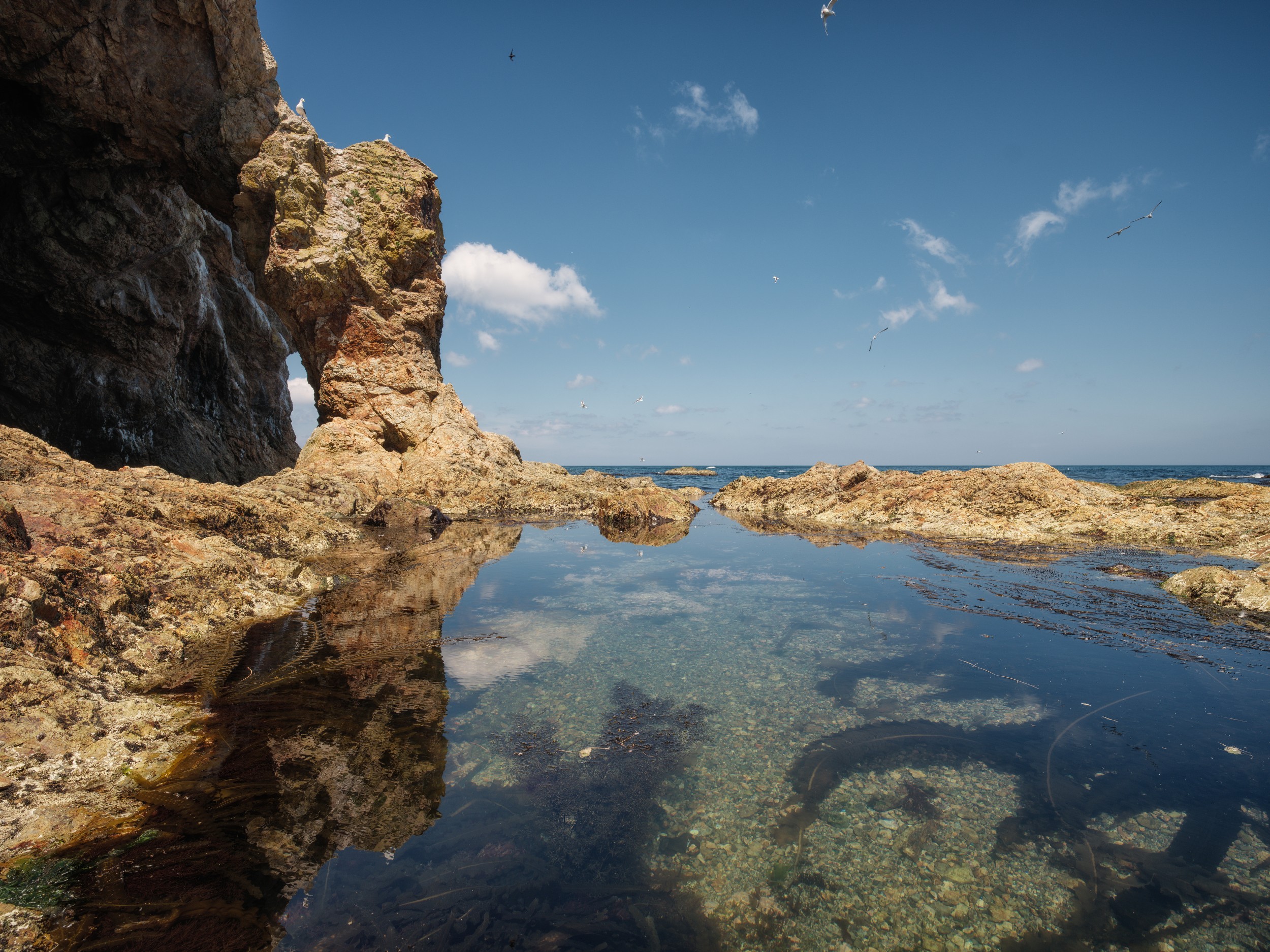 , Роман Чудинович