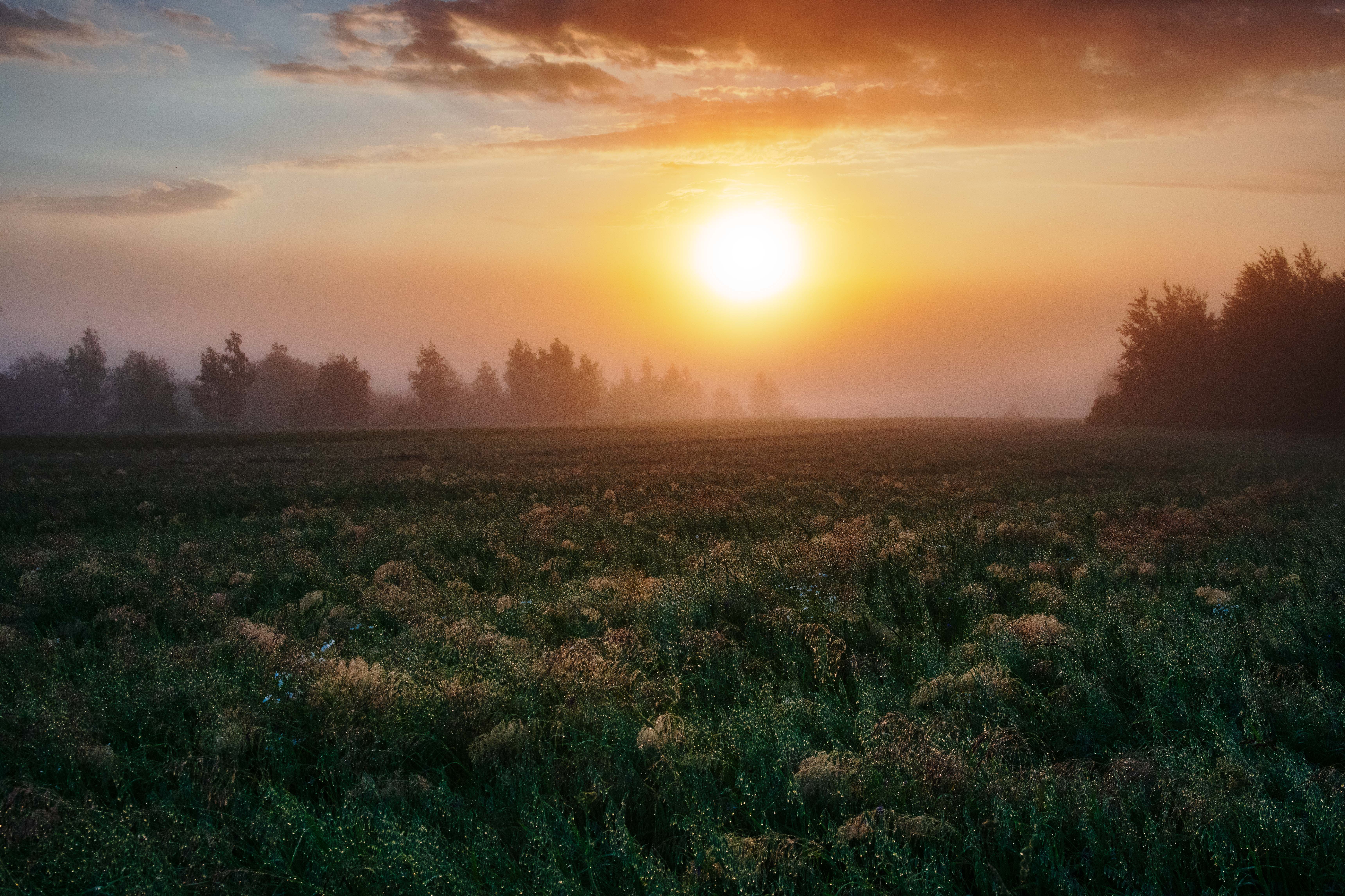 , Павел Ныриков