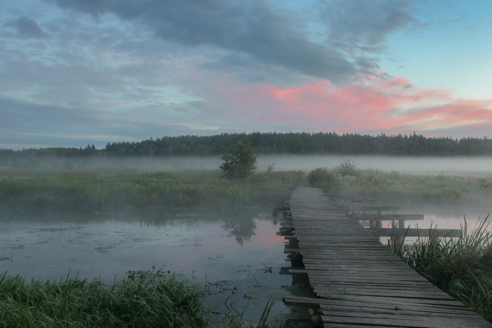 , Игорь Денисов