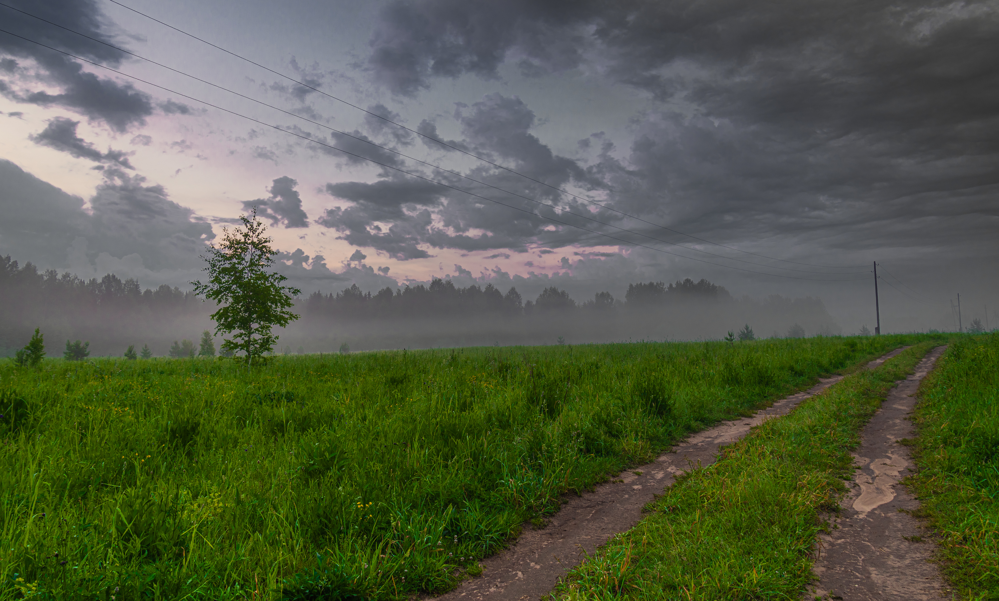 , Кокорин Алексей