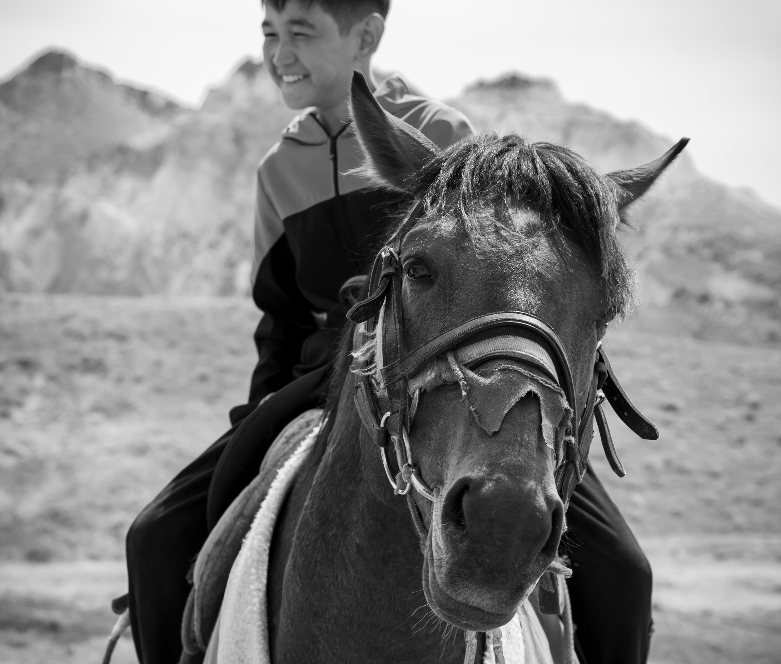 мальчик с лошадью, Светлана Шишкова