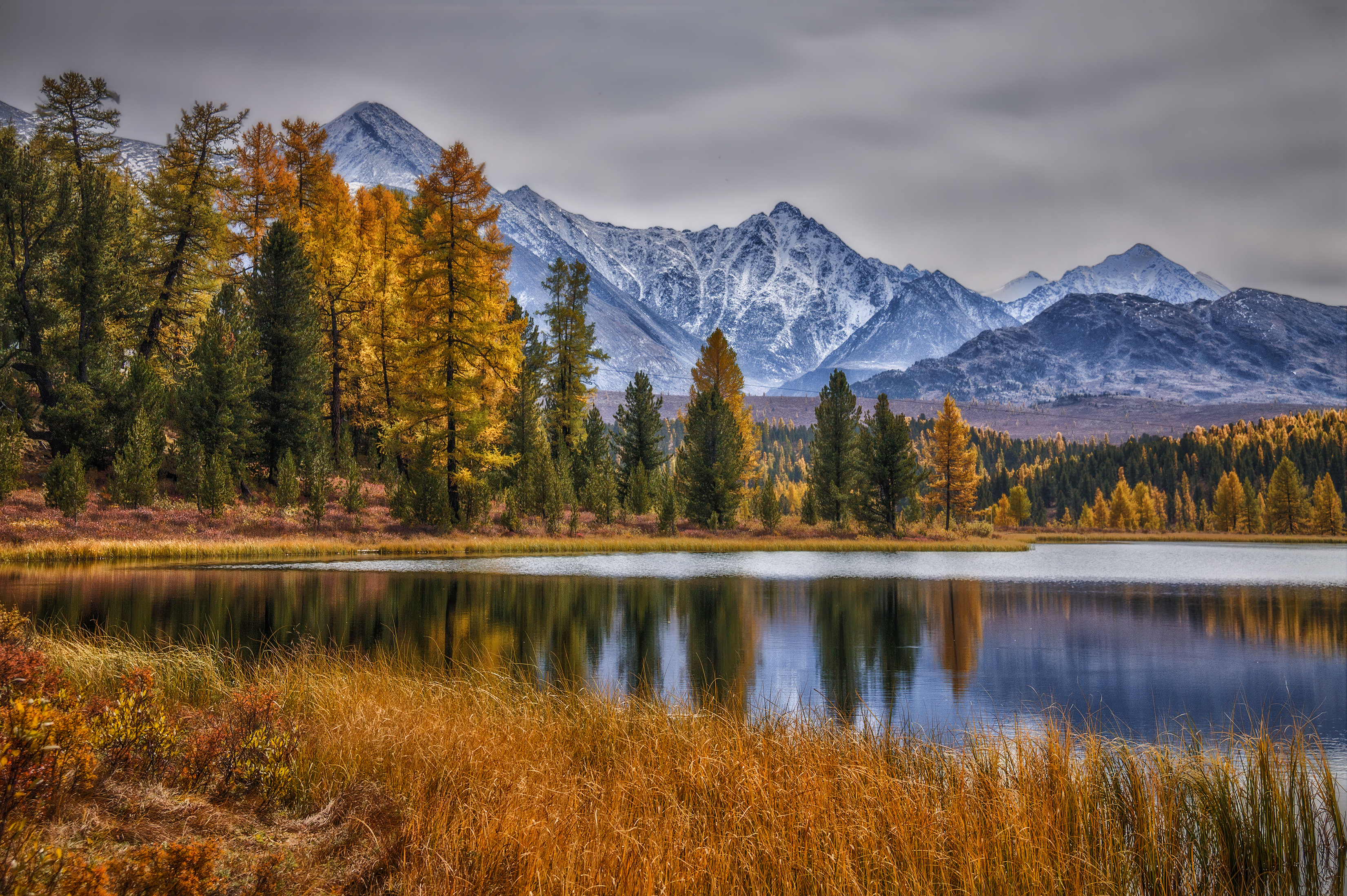 , Юдинских Марина