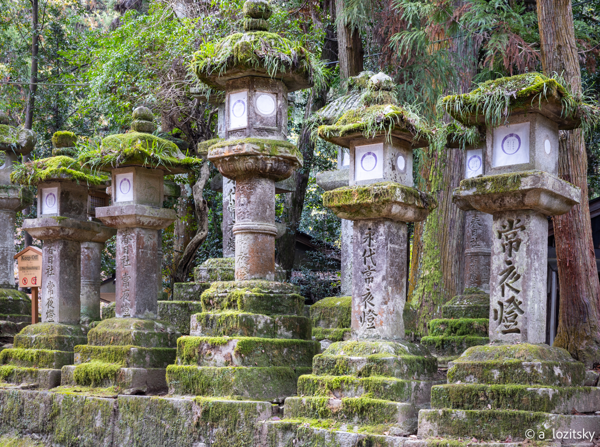 , Лозицкий Александр