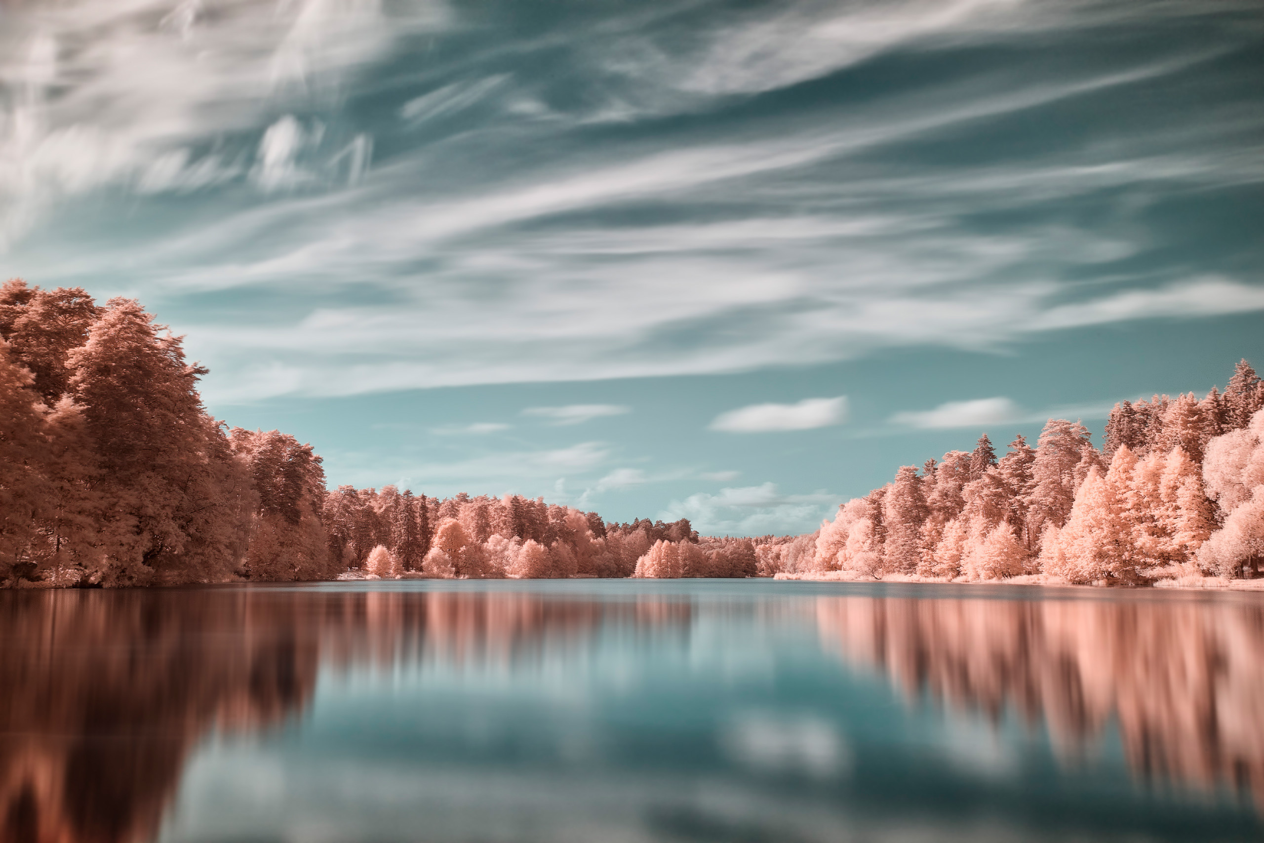 озеро, отражения, лес, Валерий Вождаев