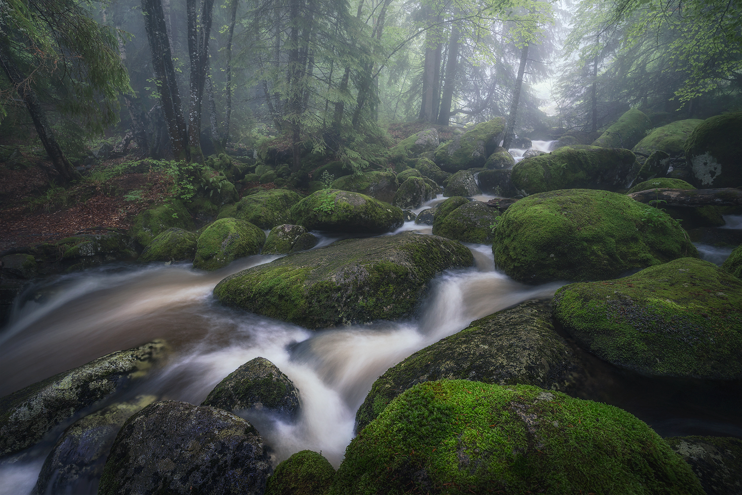 landscape, nature, scenery, forest, wood, mist, misty, fog, foggy, river, longexposure, mountain, rocks, vitosha, bulgaria, туман, лес, Александър Александров