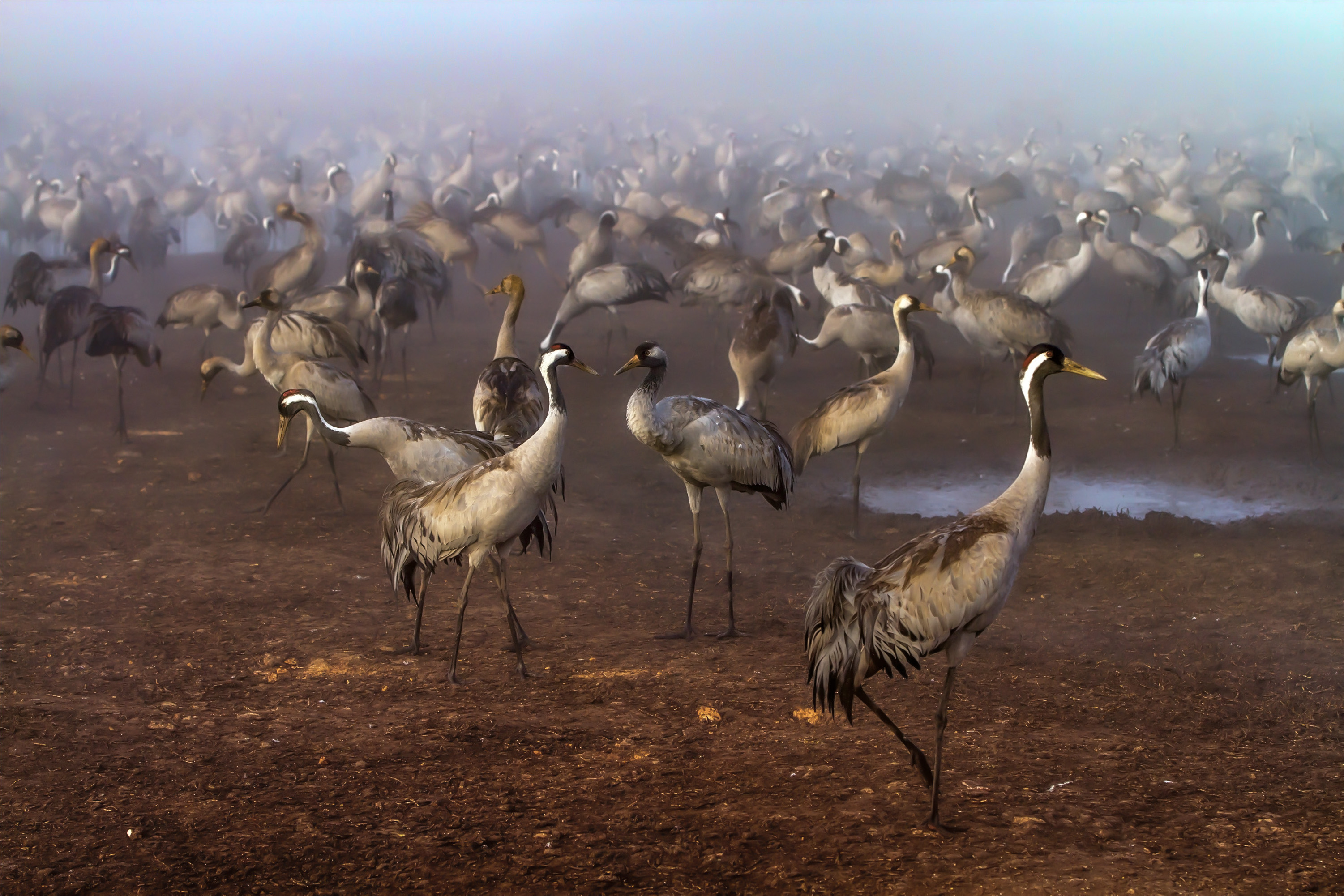 , Валентина Булкина