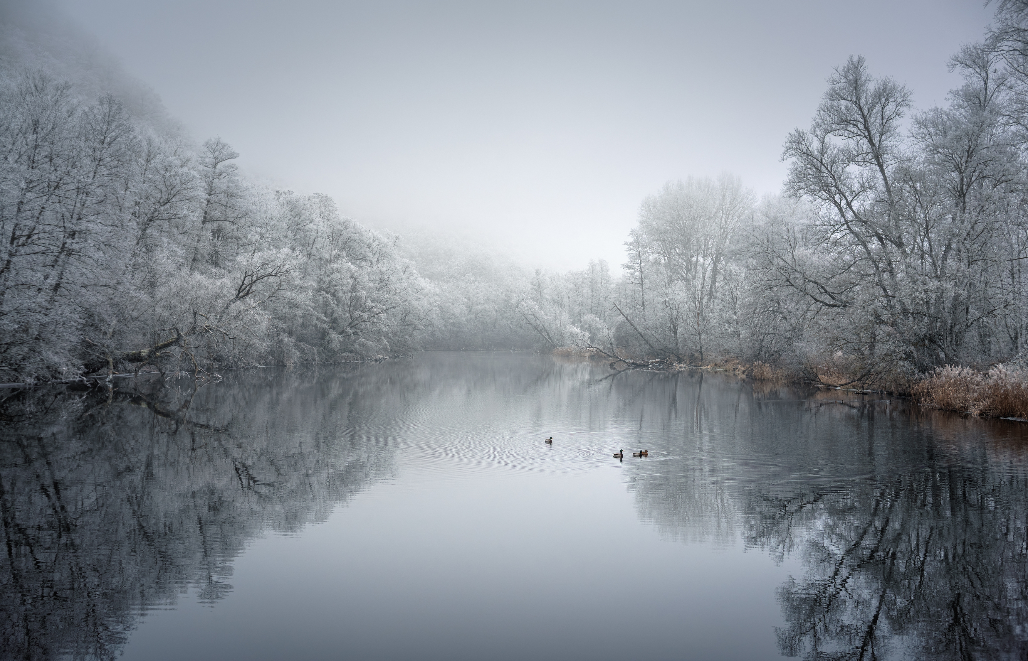 горизонтальный., нет, людей., фотография., на, улице., природа., живопись-природа., небо., облако-небо., горизонт., над, водой., красота, в, природе., драматическое, небо., отражение., спокойствие., снег., туман., Ожерельев Андрей