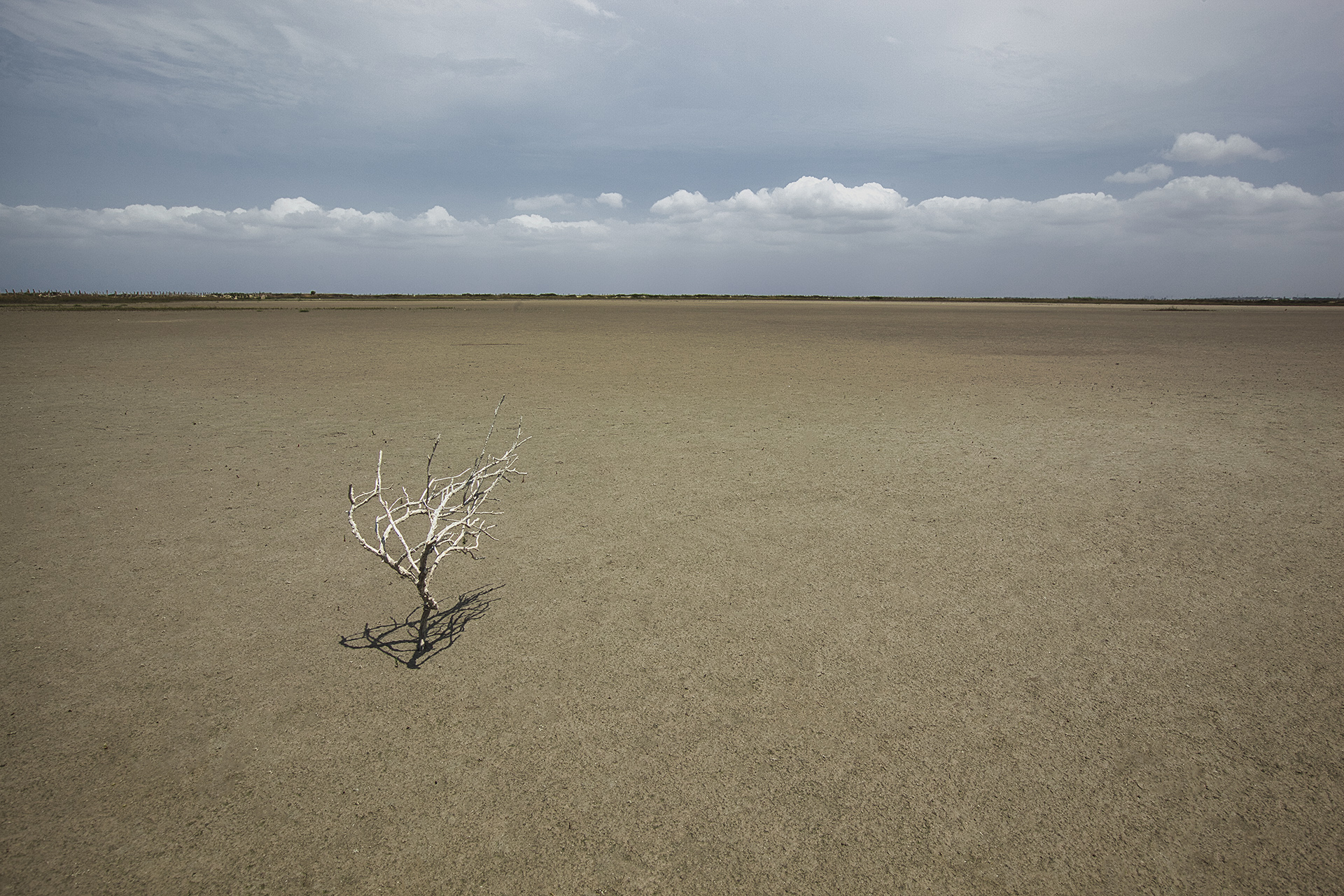 , Аседач Александр