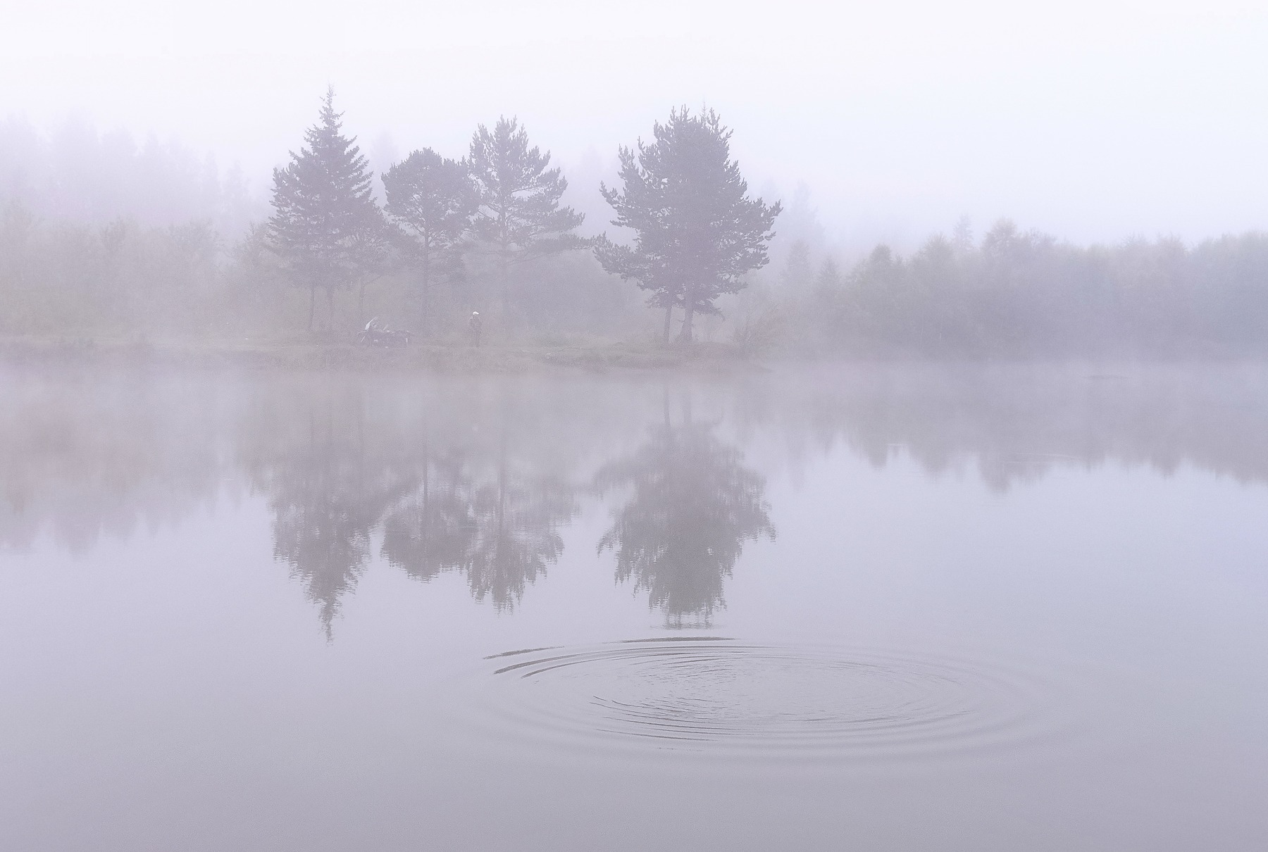 Озерко, сибирь, утро, туман, Марина Фомина