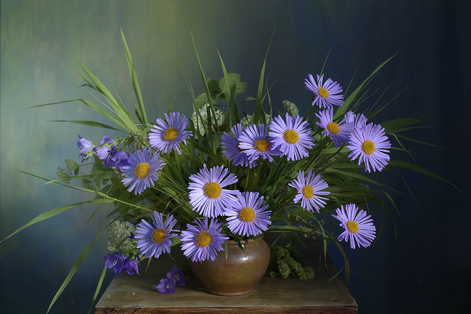 натюрморт, цветы, вера павлухина, ромашки, вечерок,, Вера  Павлухина