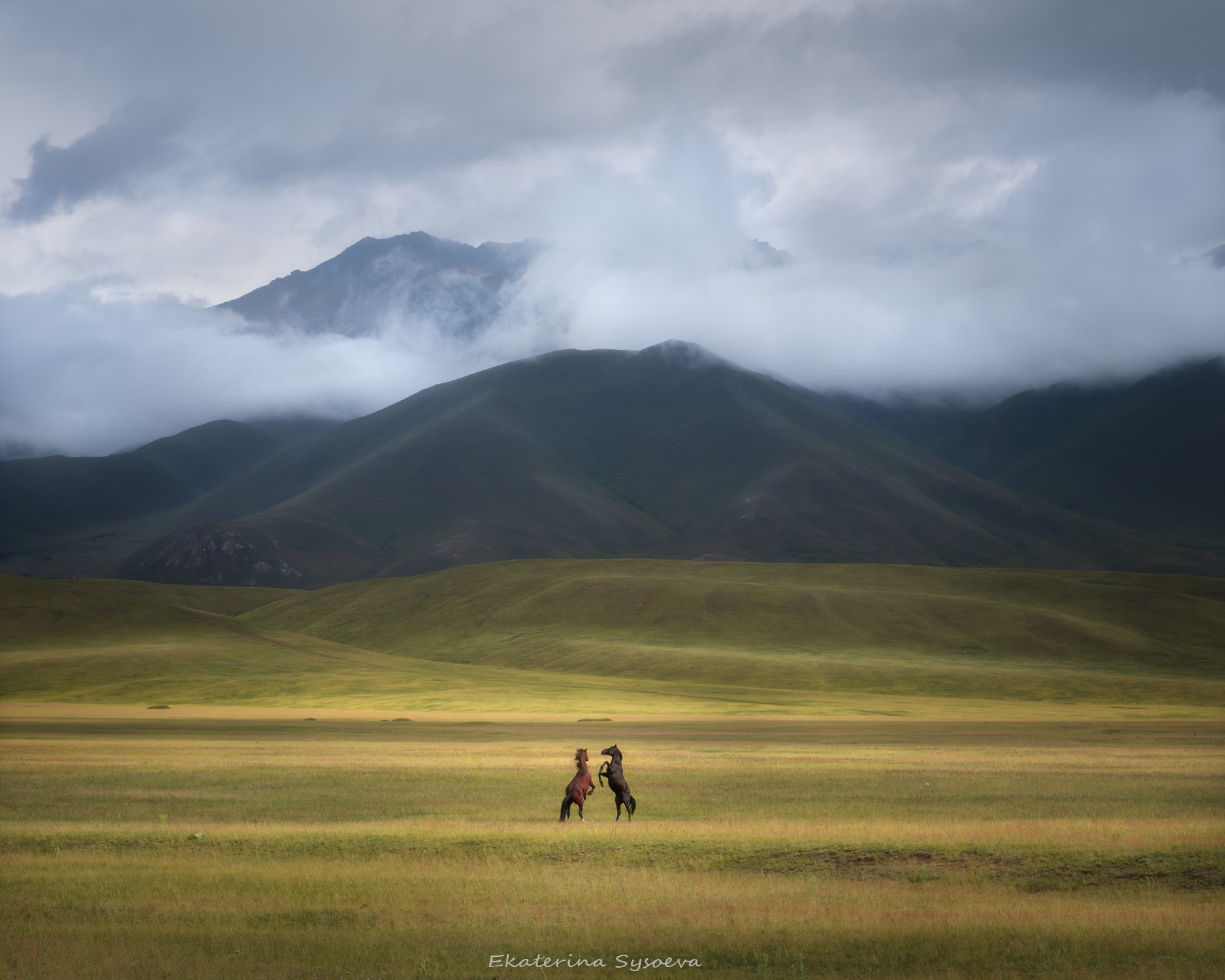 , Екатерина Сысоева