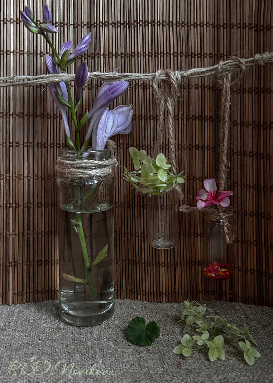 , Новикова Ольга