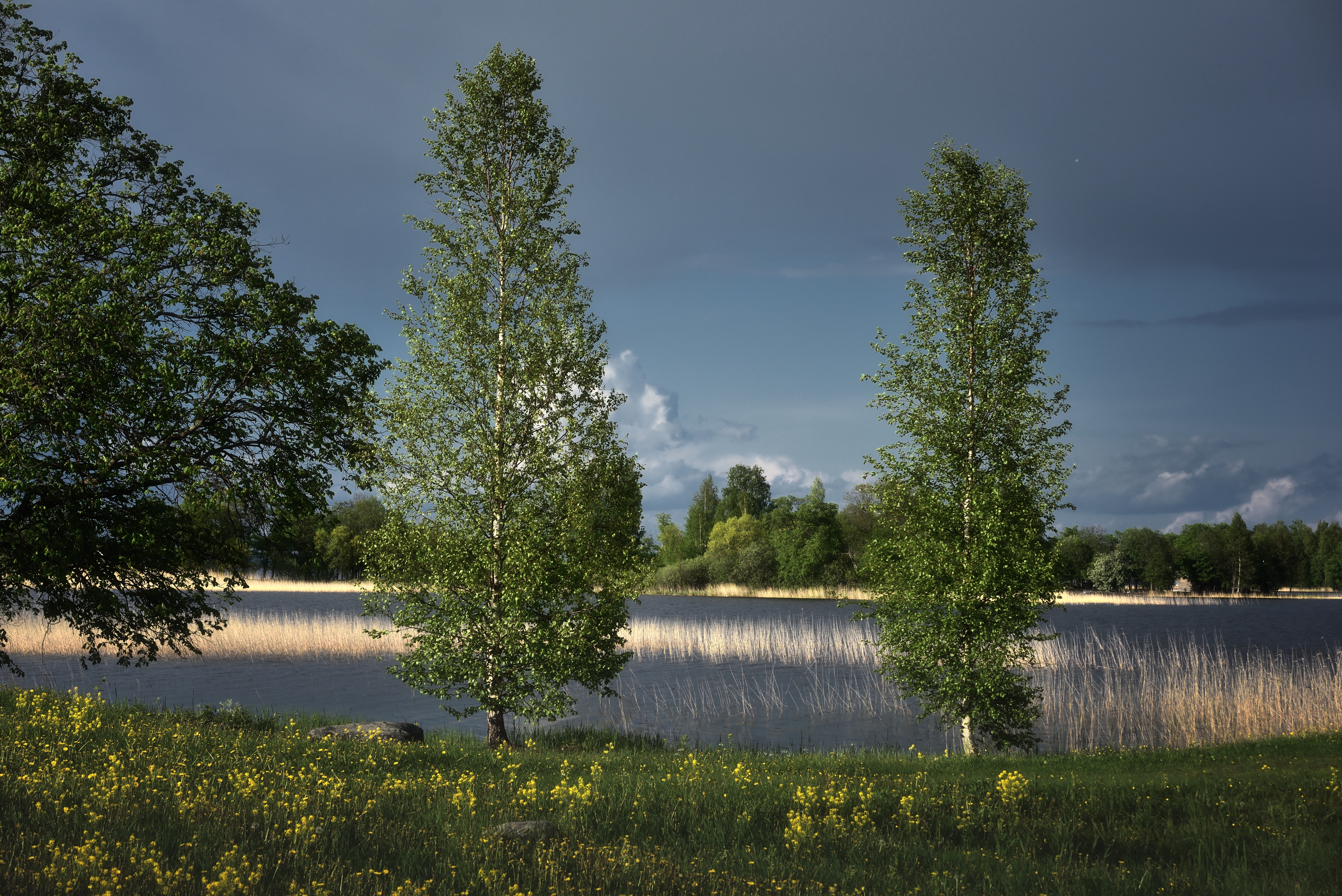 , Алексей Никонов