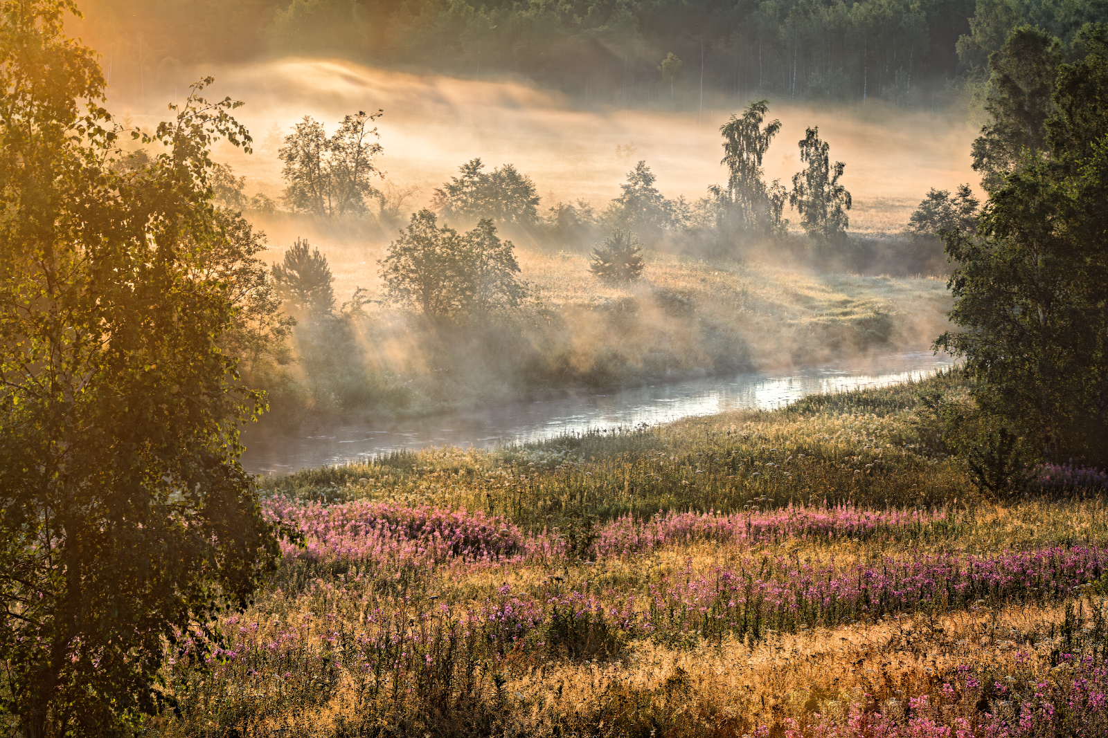 , Евгений Ерохин