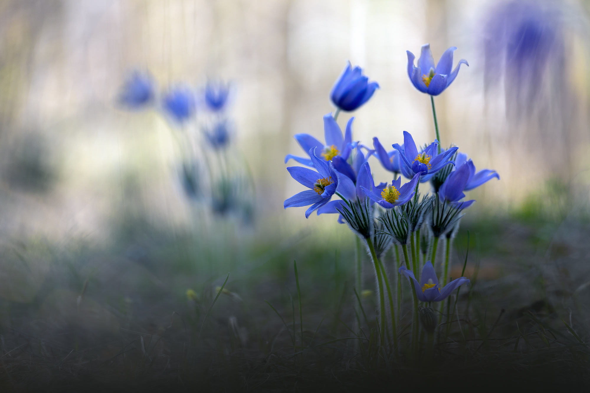 , Кузнецов Дмитрий