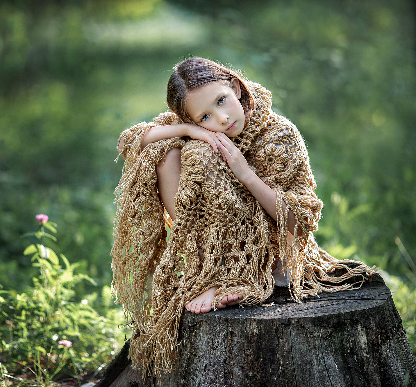 , Солнечный Александр