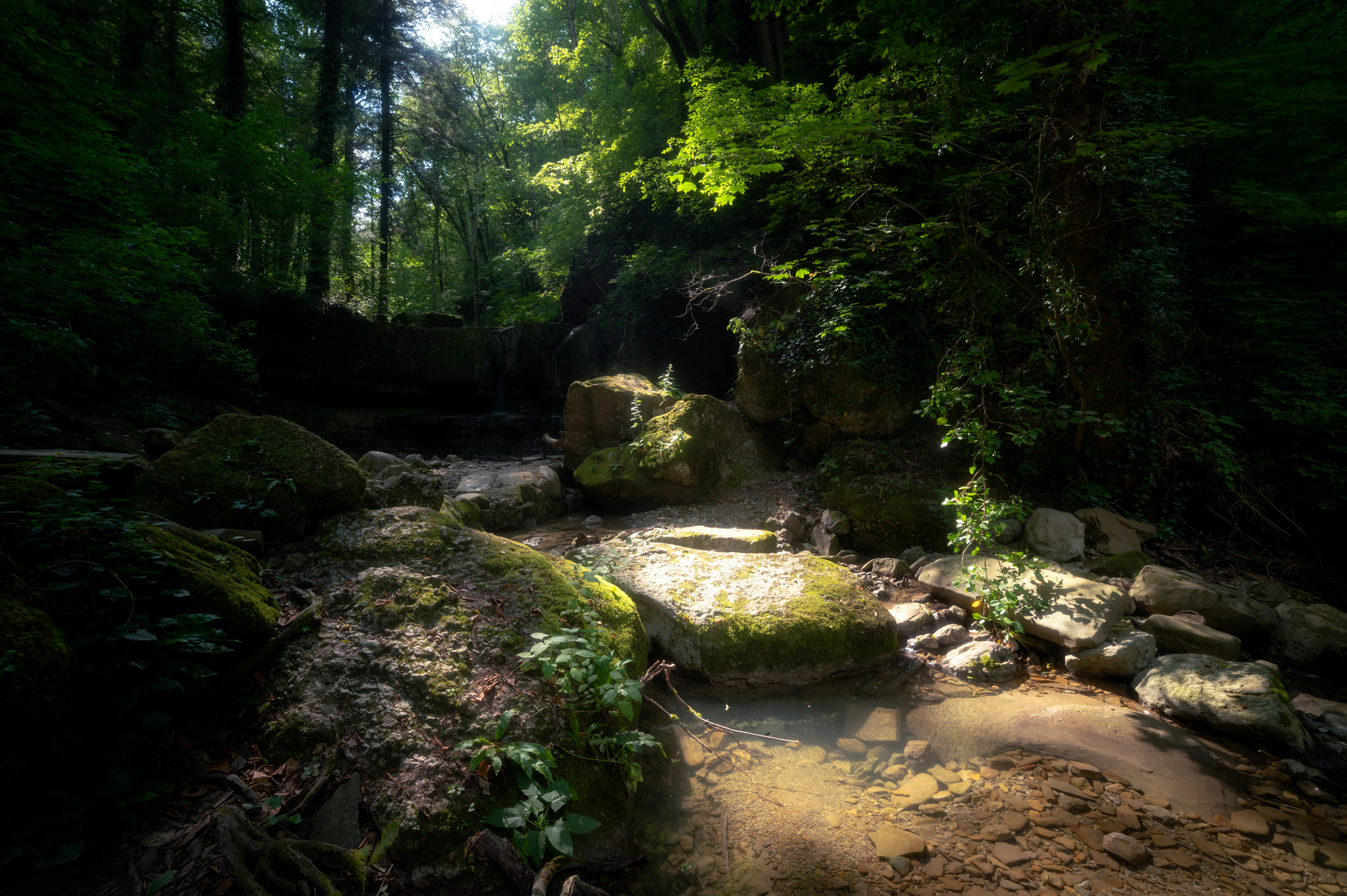 , Сергей Тихомиров