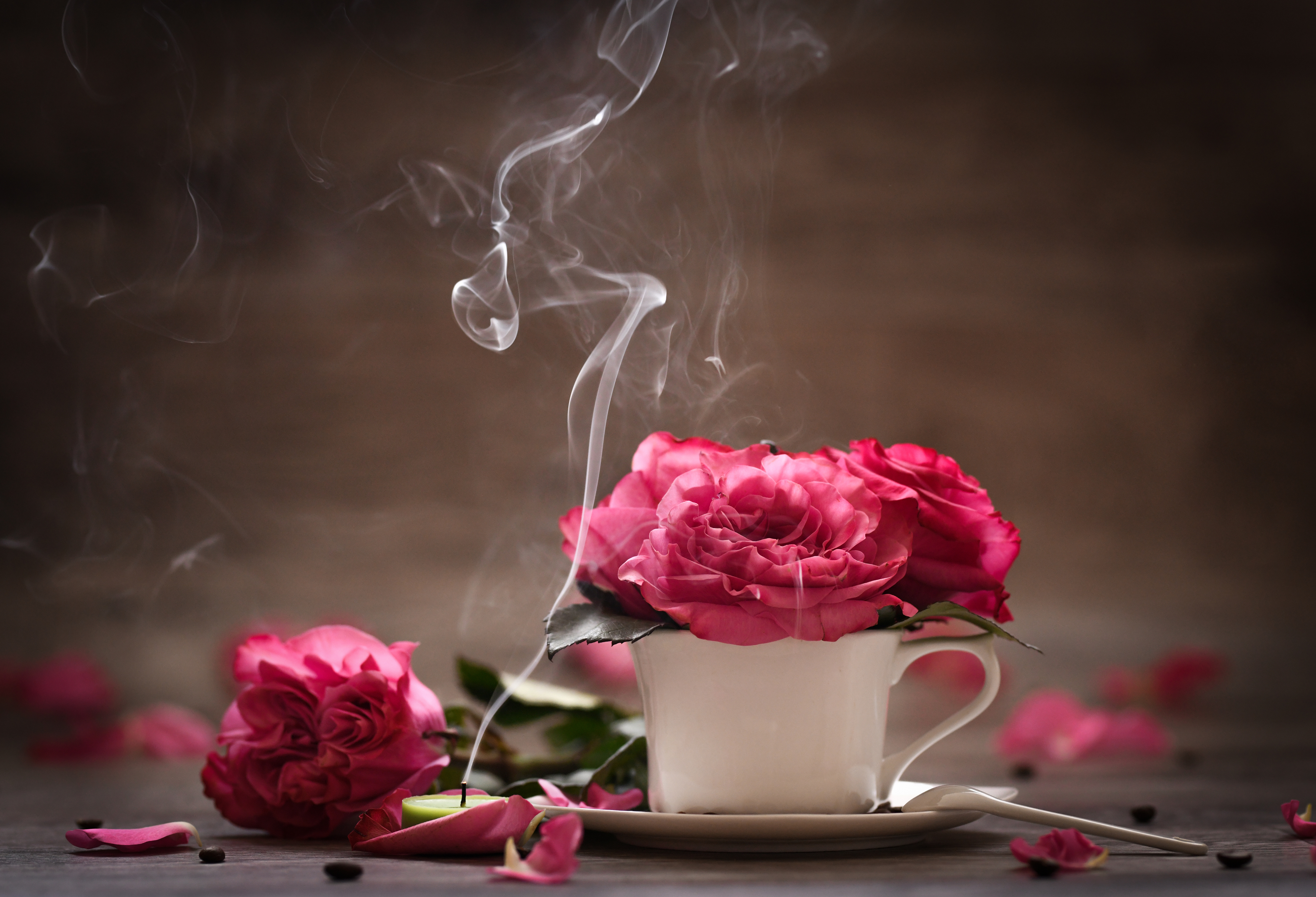 , Анна Штабель