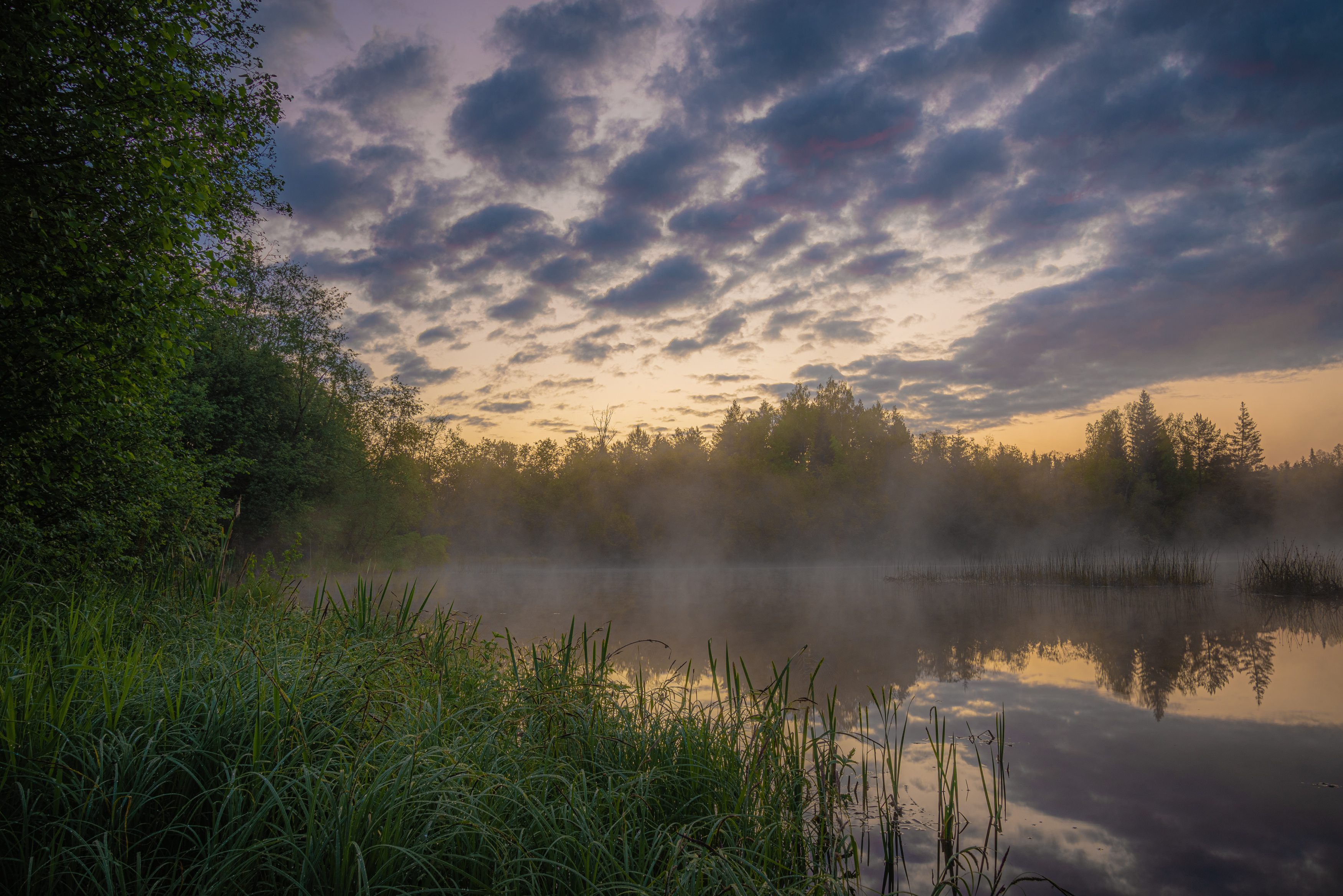 , Кокорин Алексей