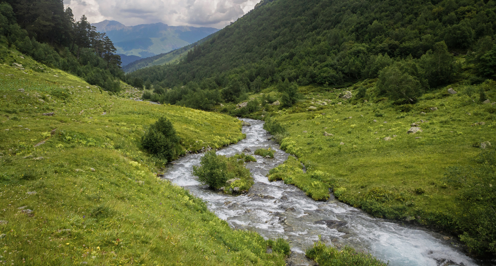 , Лысенко Сергей