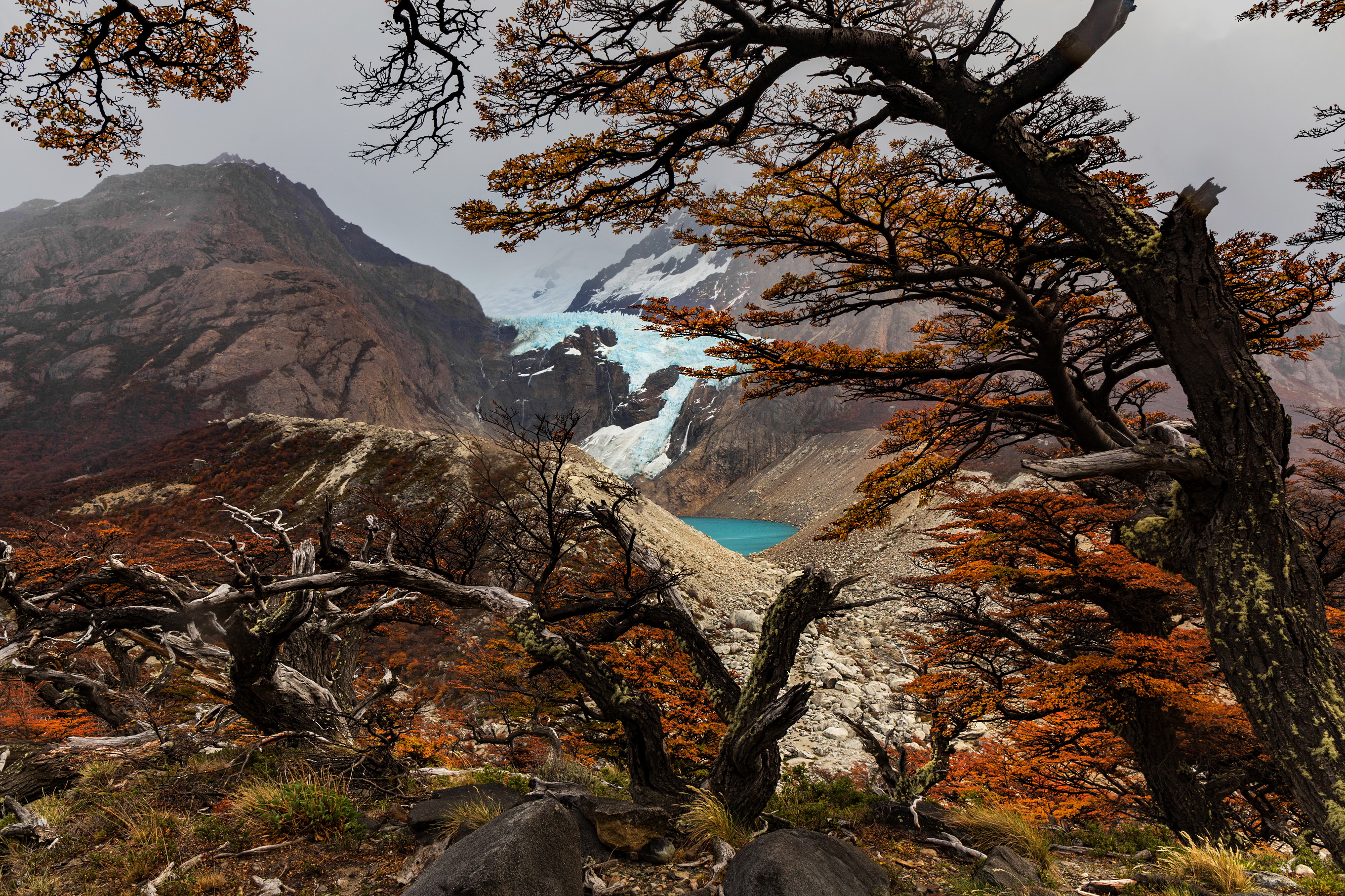 аргентина, патагония, argentina, patagonia, glacier, ледник, Mikhail Konarev