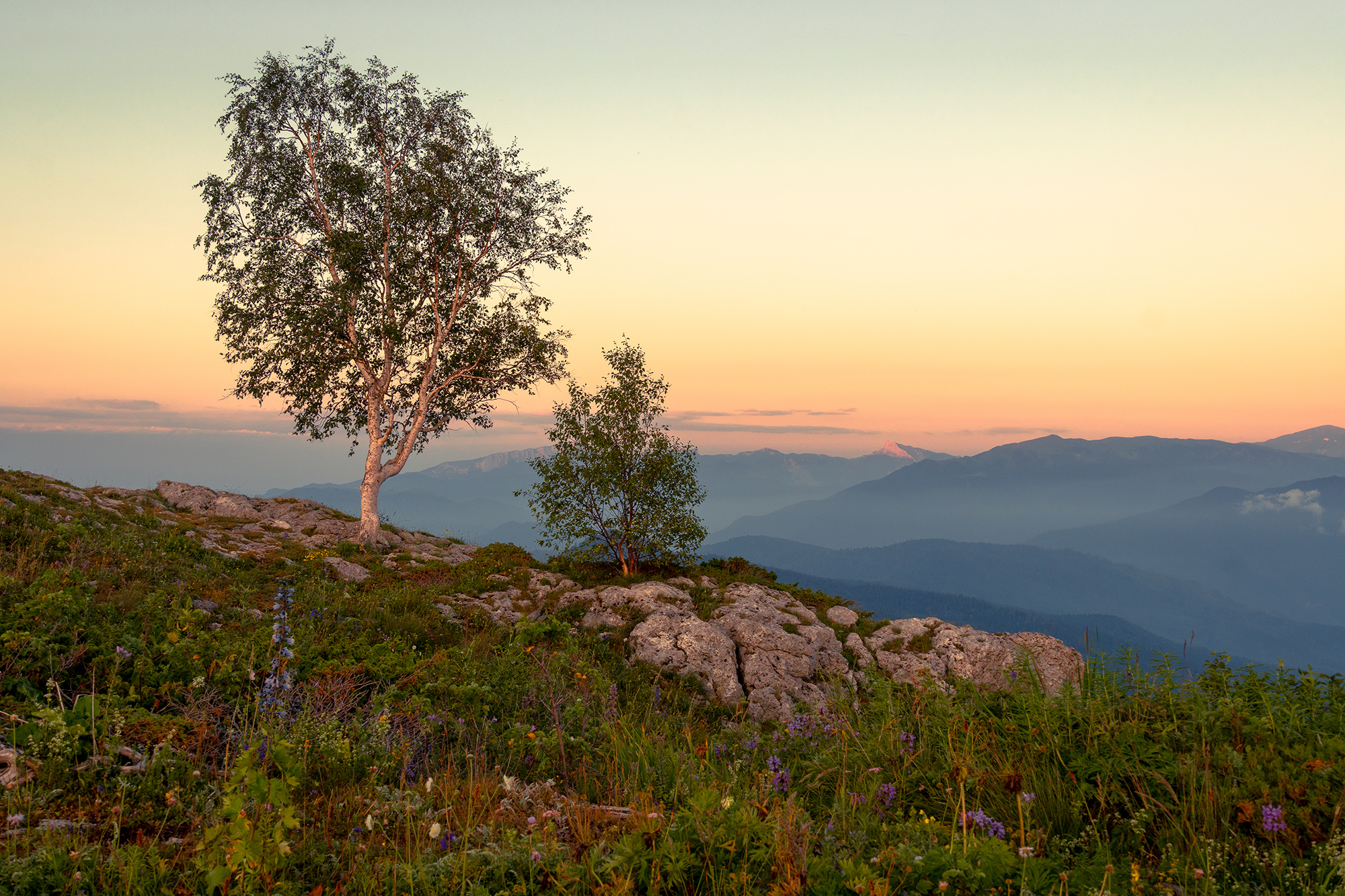 , Вадим Коваленко