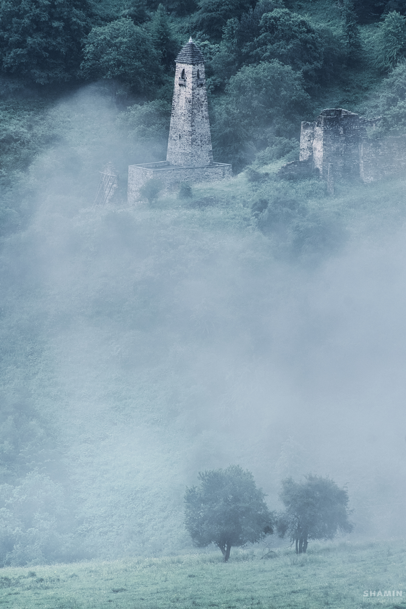 , Константин Шамин